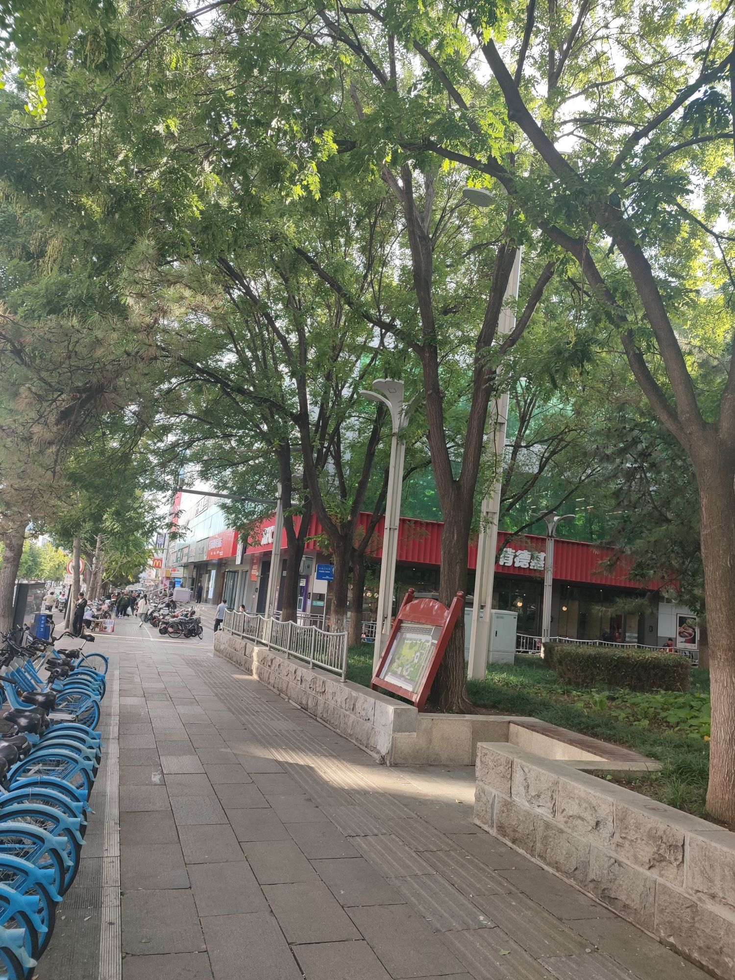阳光公园旅行图片 3