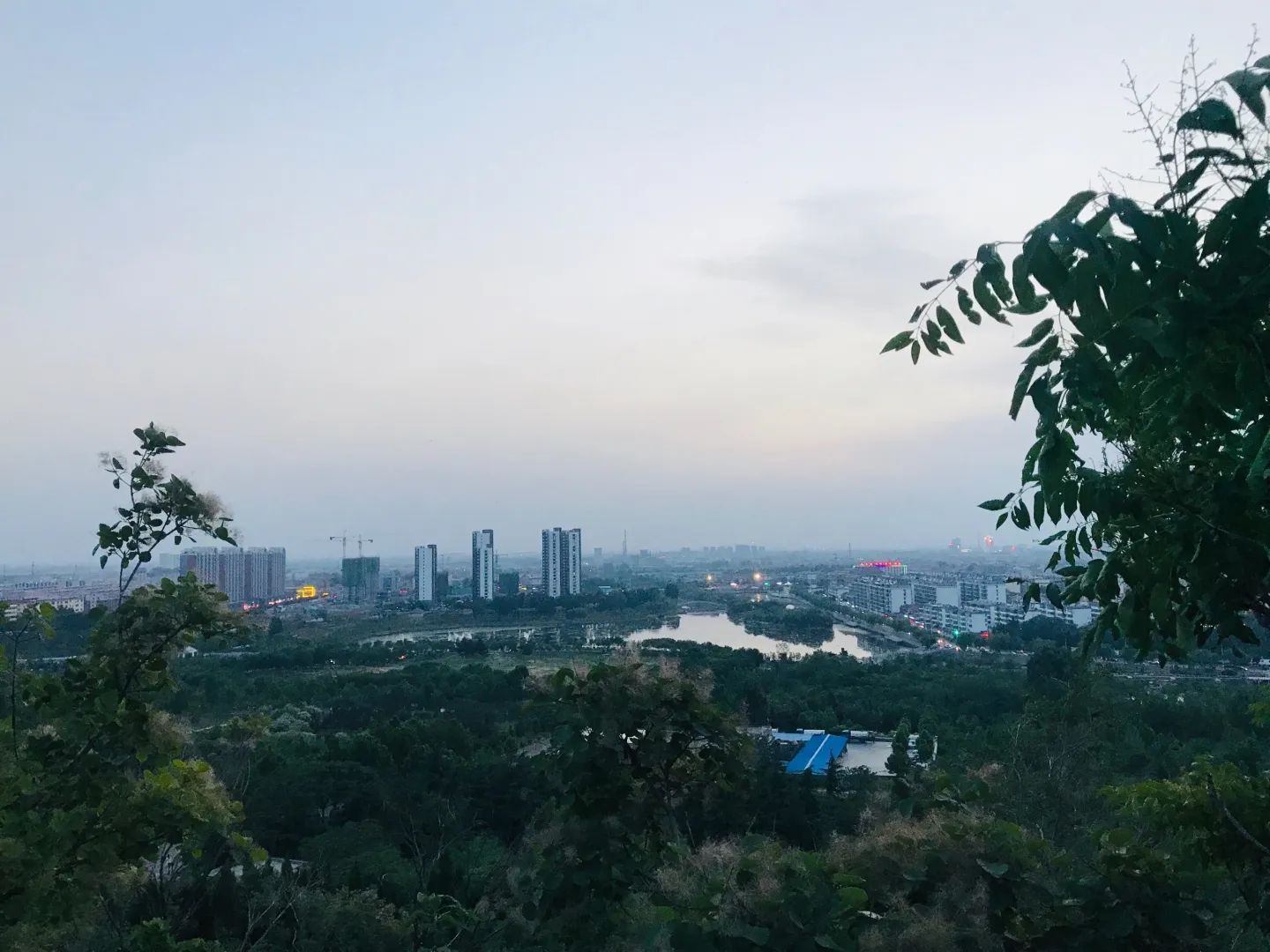 唐王湖公园旅行图片 1
