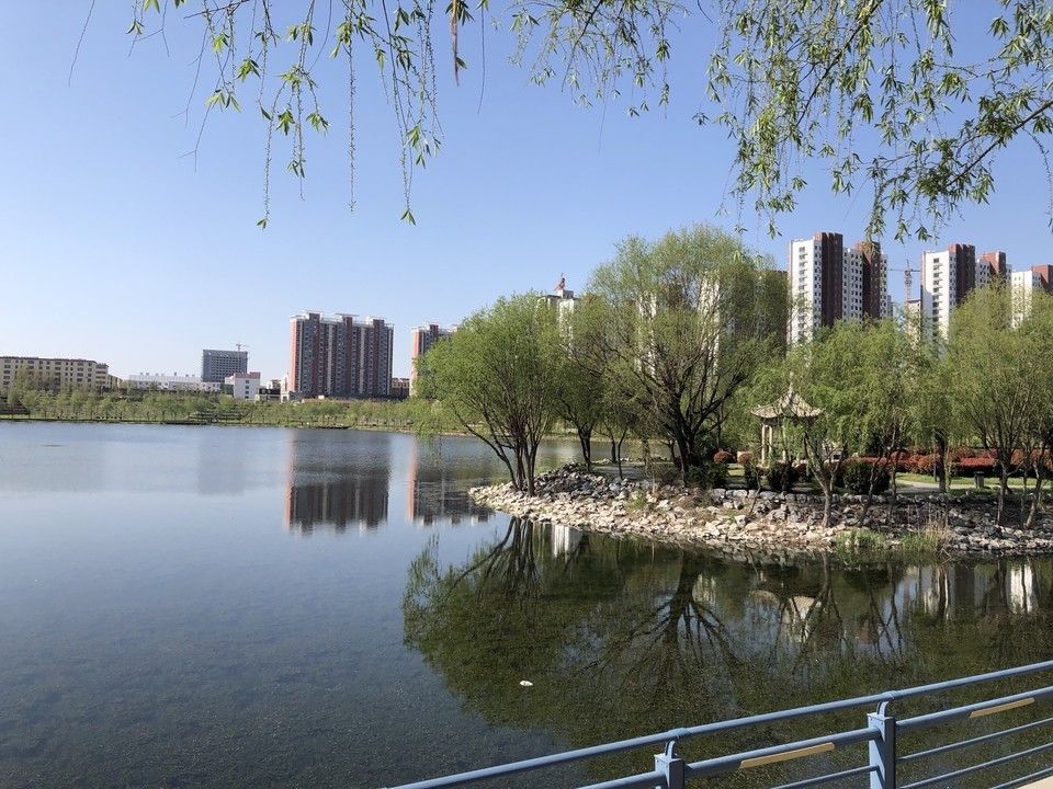 唐王湖公园旅行图片 1