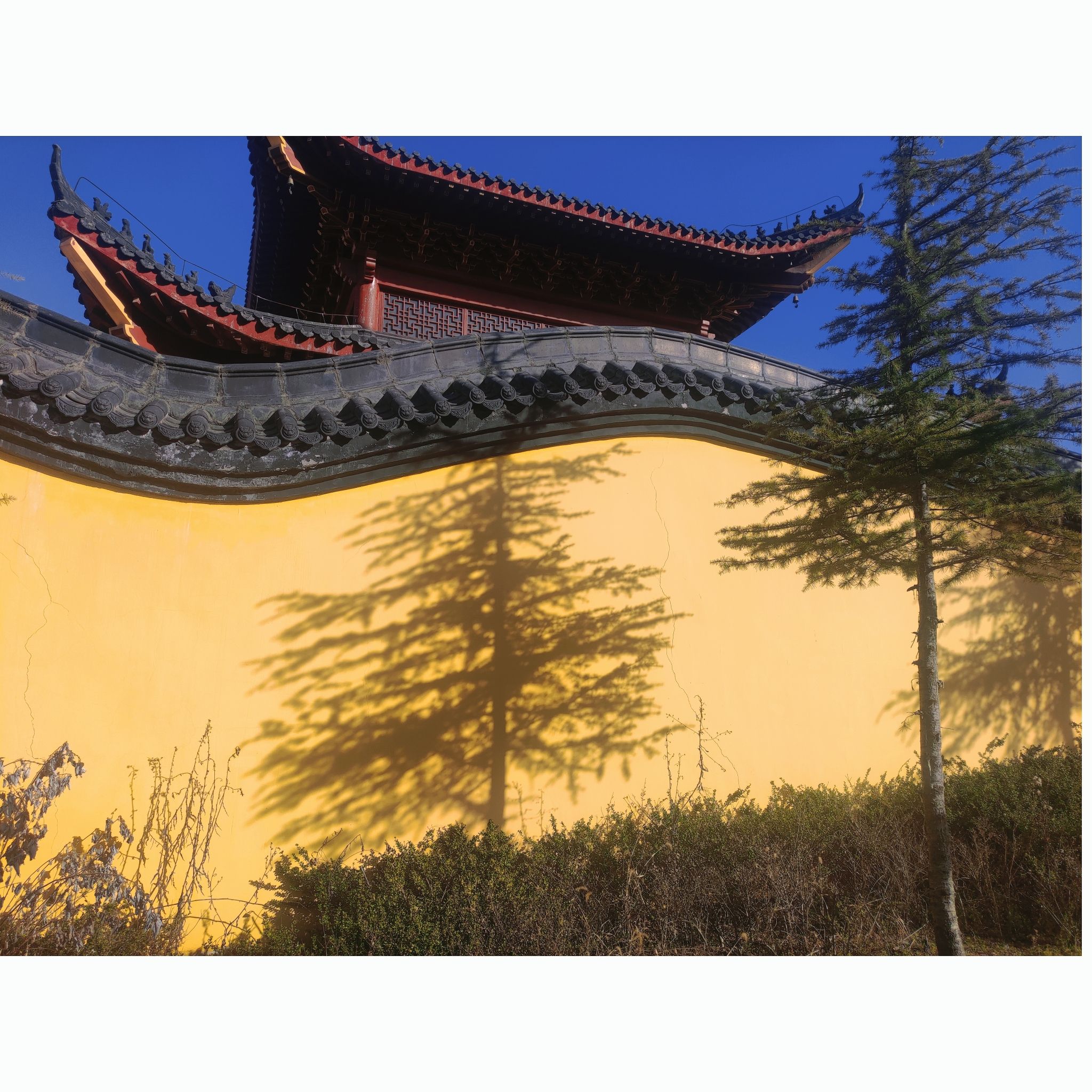 大别山玉博园旅行图片 2
