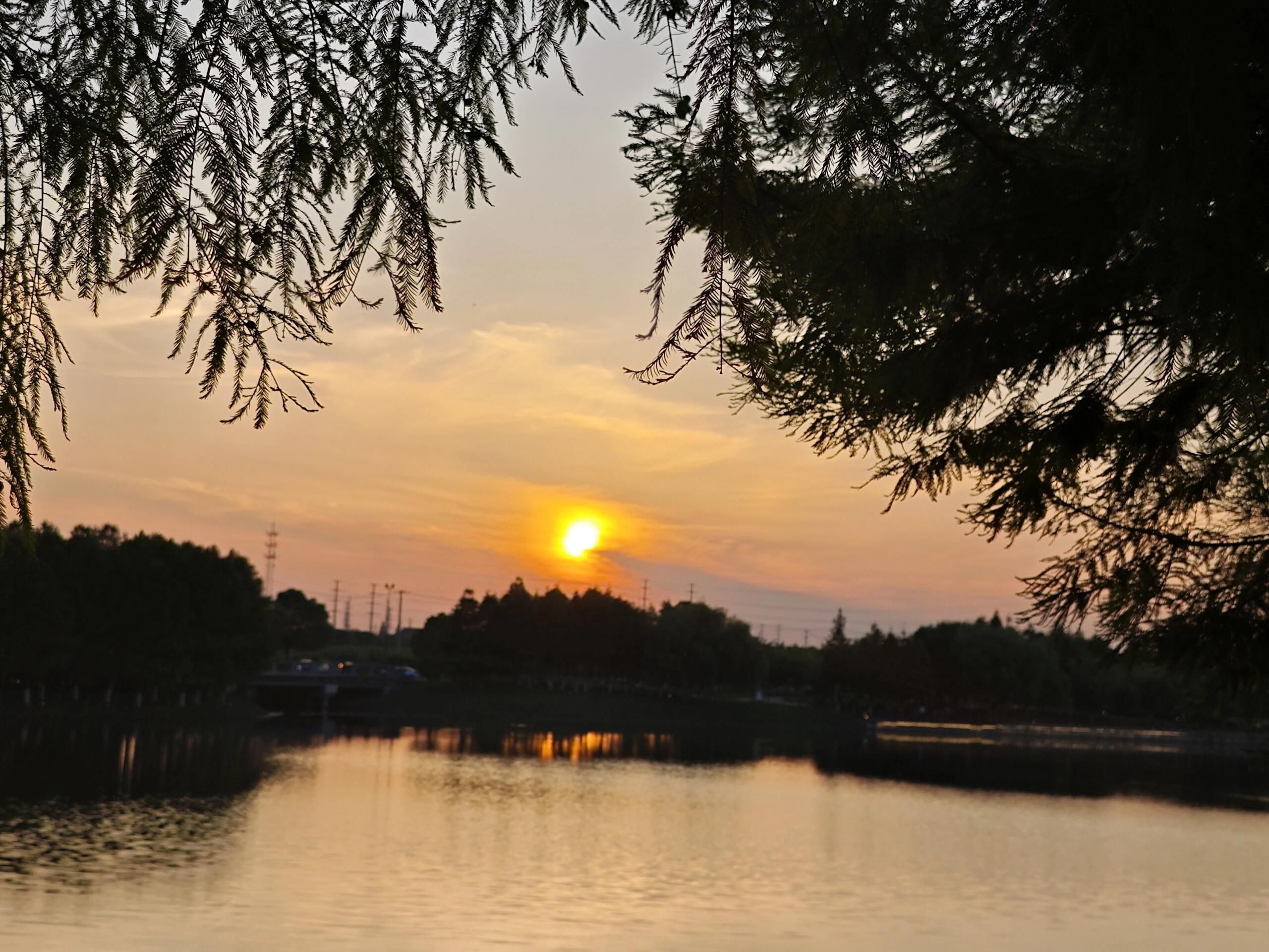 金水湖公园旅行图片 1