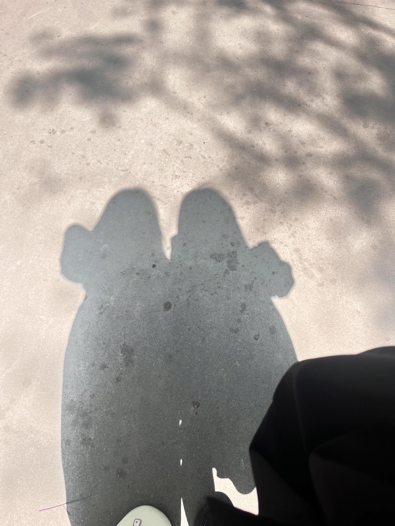 金水湖公园旅行图片 2