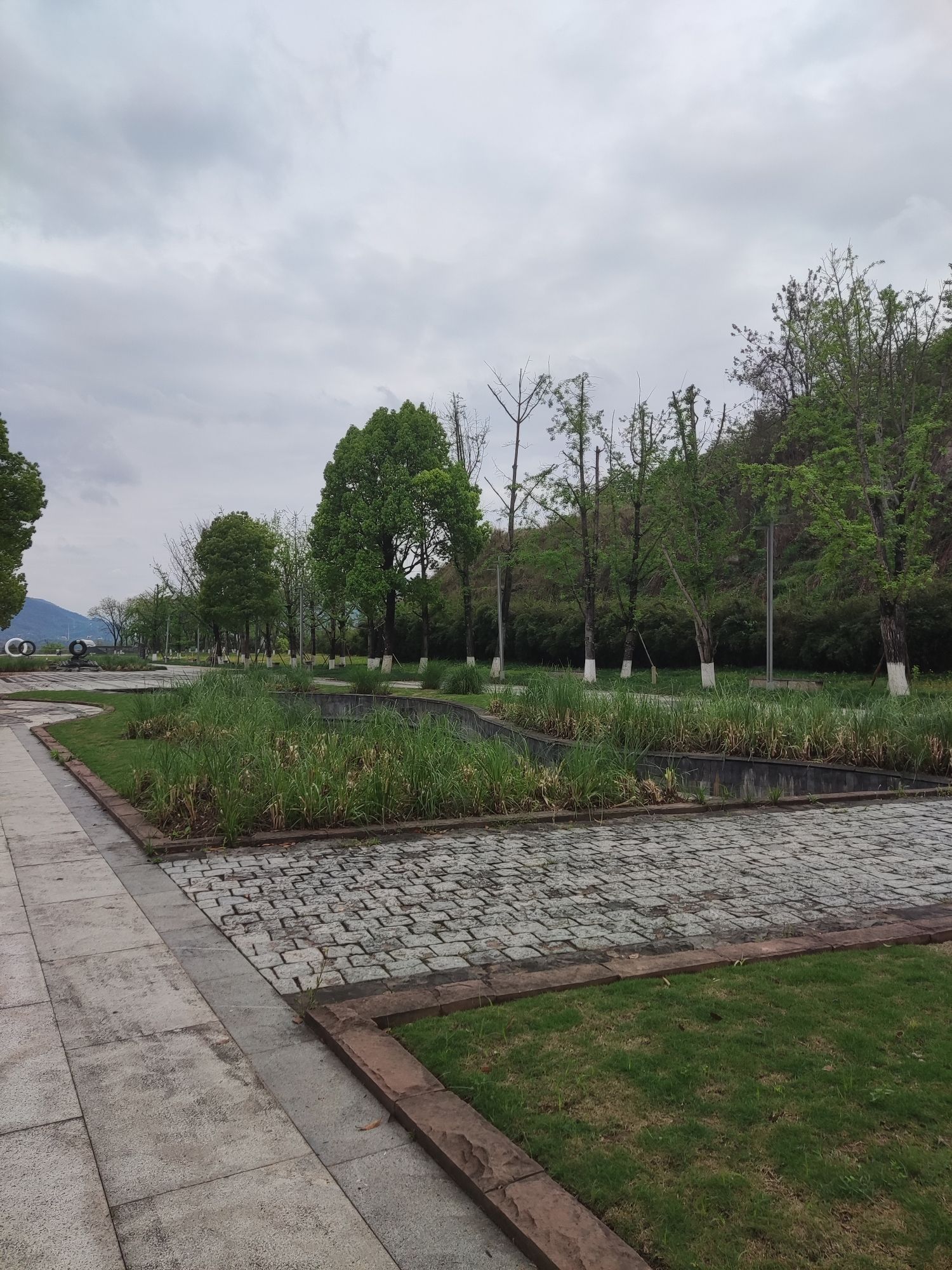 两江龙湾森林公园旅行图片 2