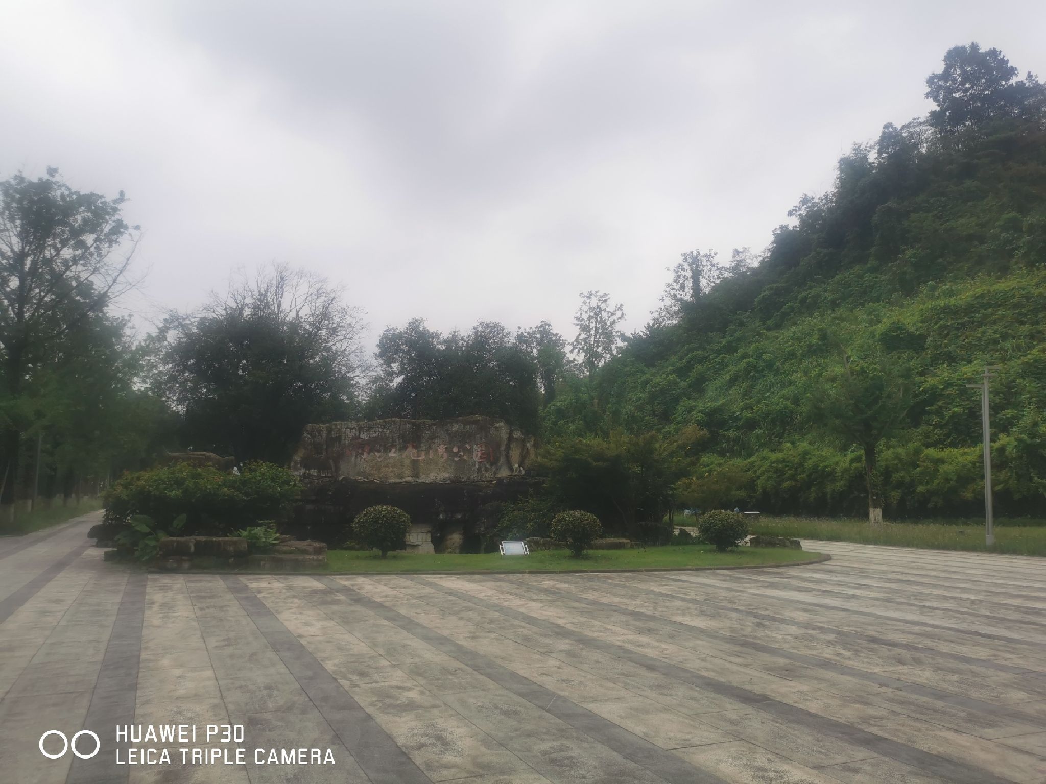 两江龙湾森林公园旅行图片 1