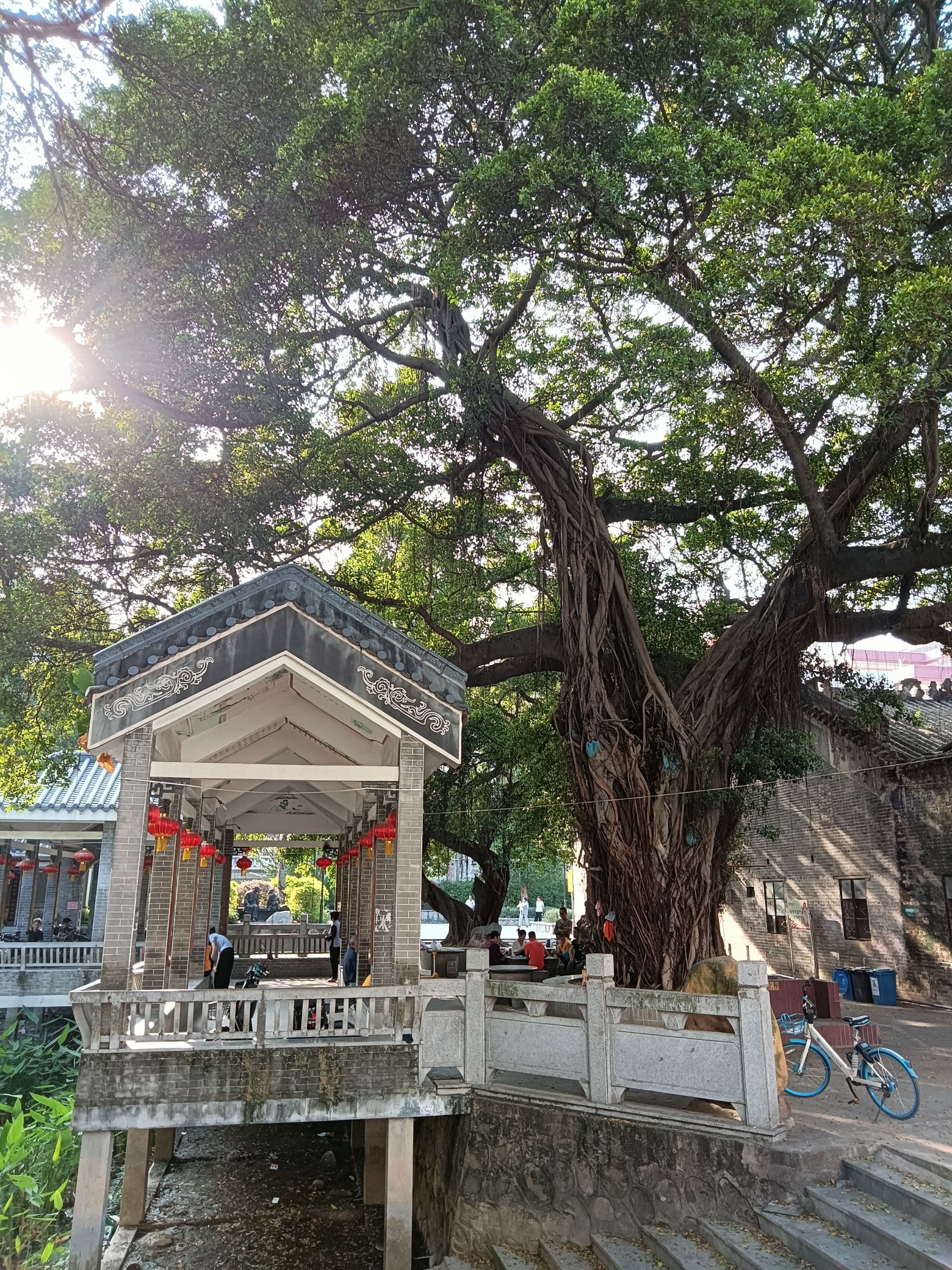 始平公园旅行图片 2