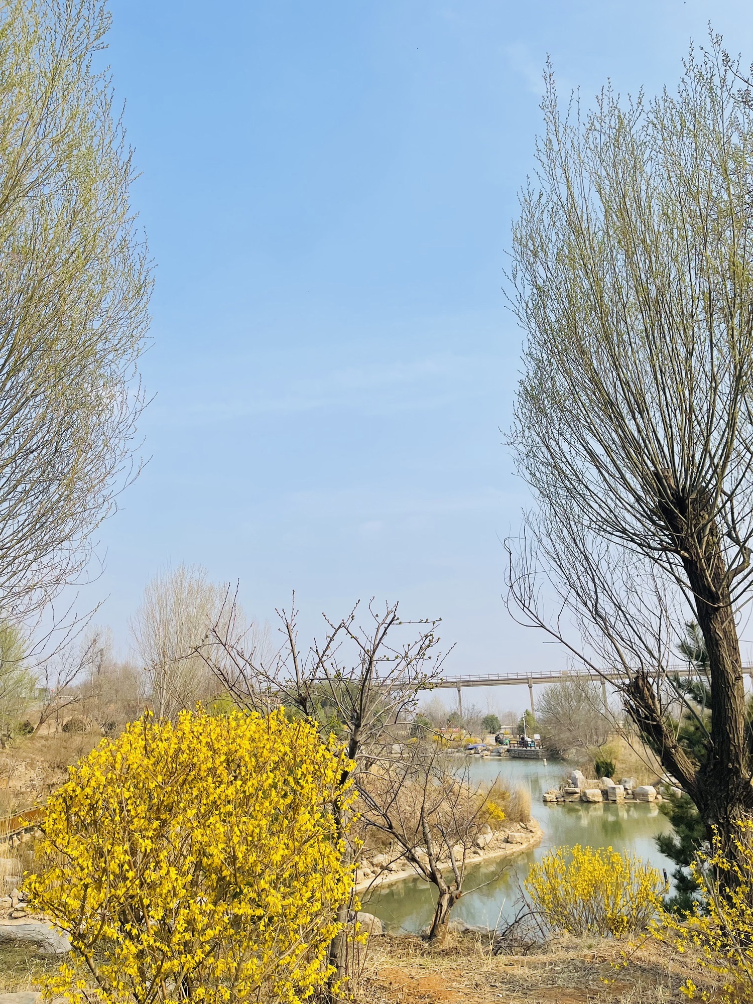 青州弥河国家湿地公园旅行图片 2
