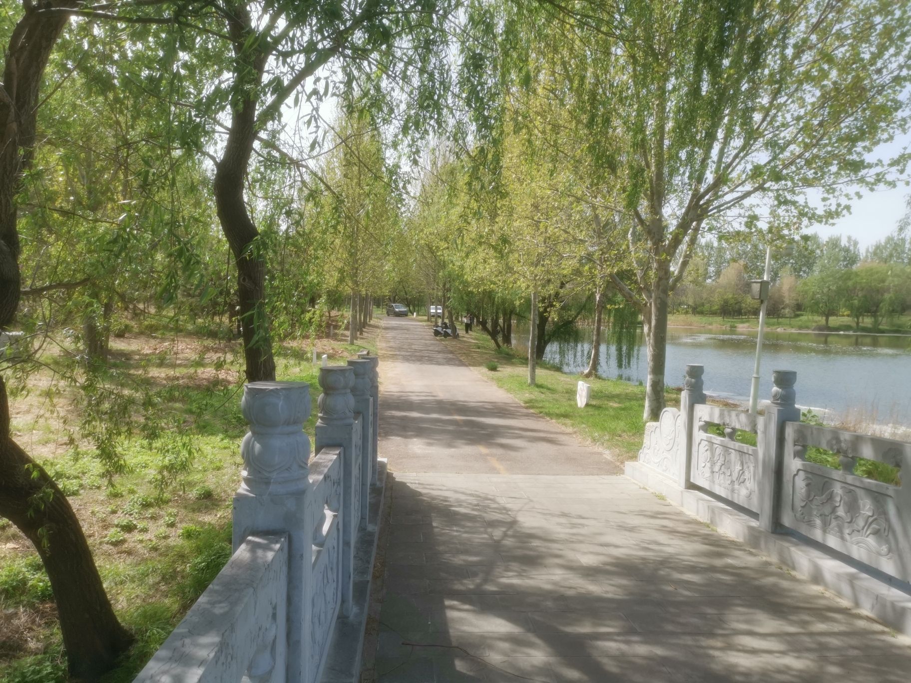 青州弥河国家湿地公园旅行图片 2