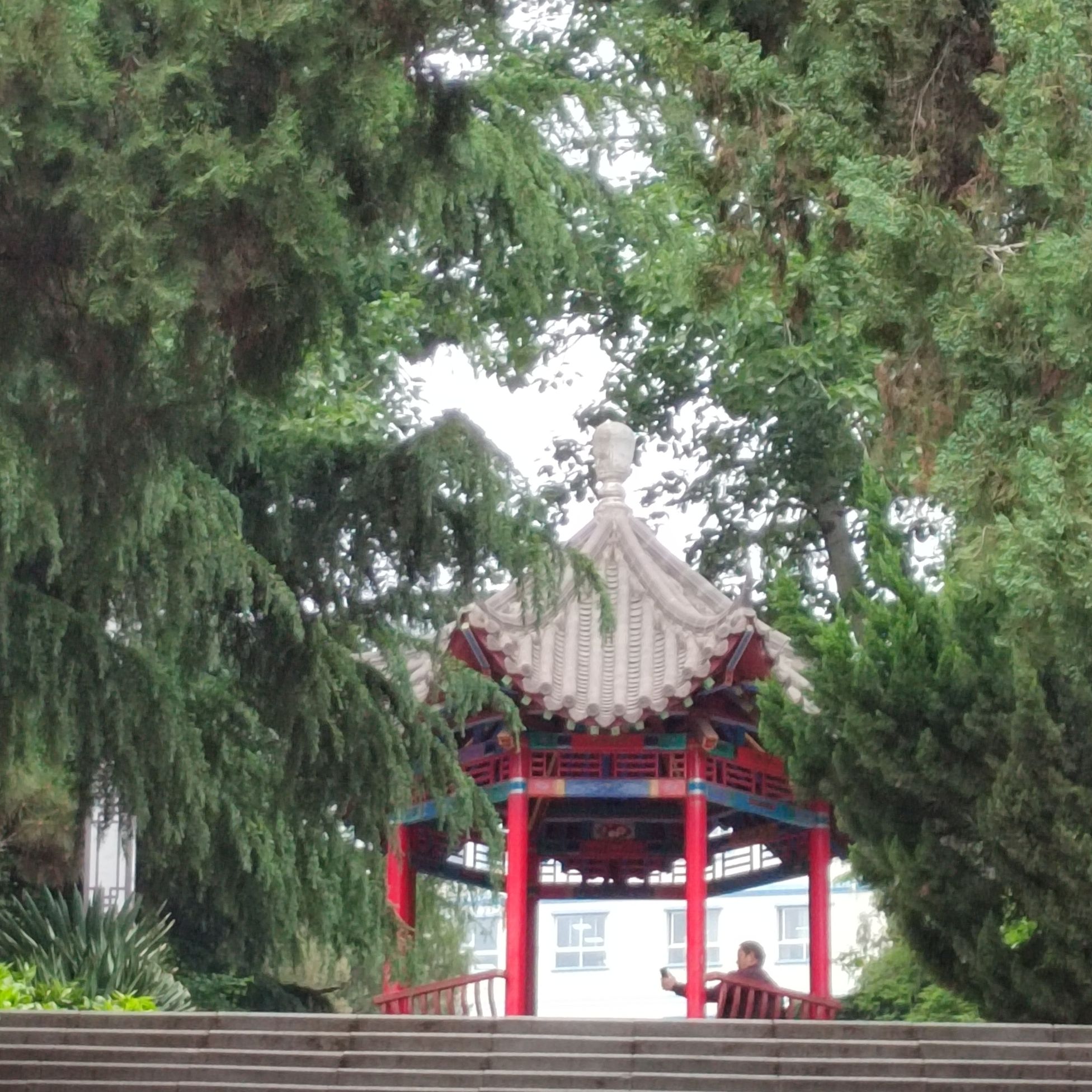 人民公园旅行图片 1
