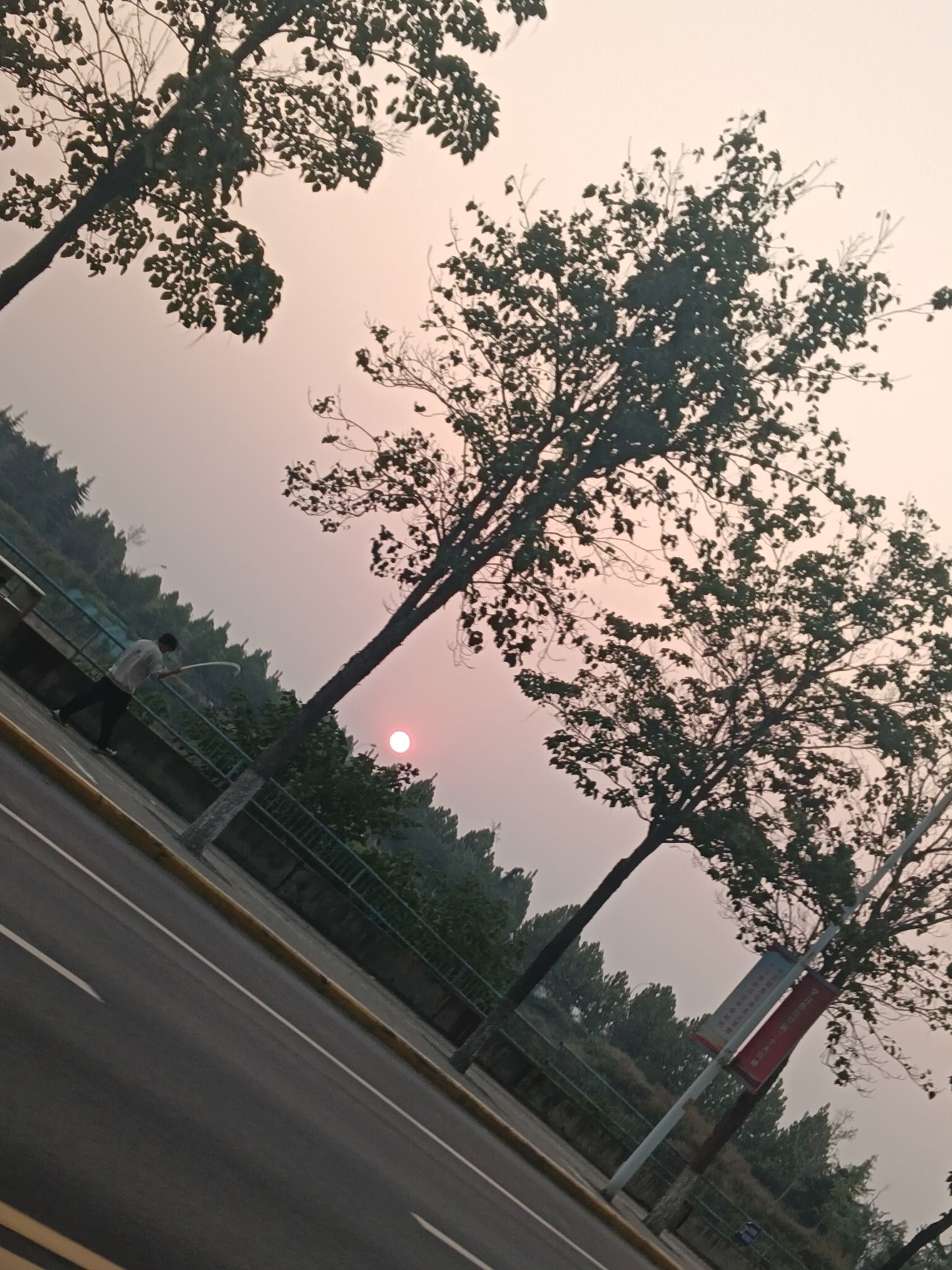 人民公园旅行图片 1