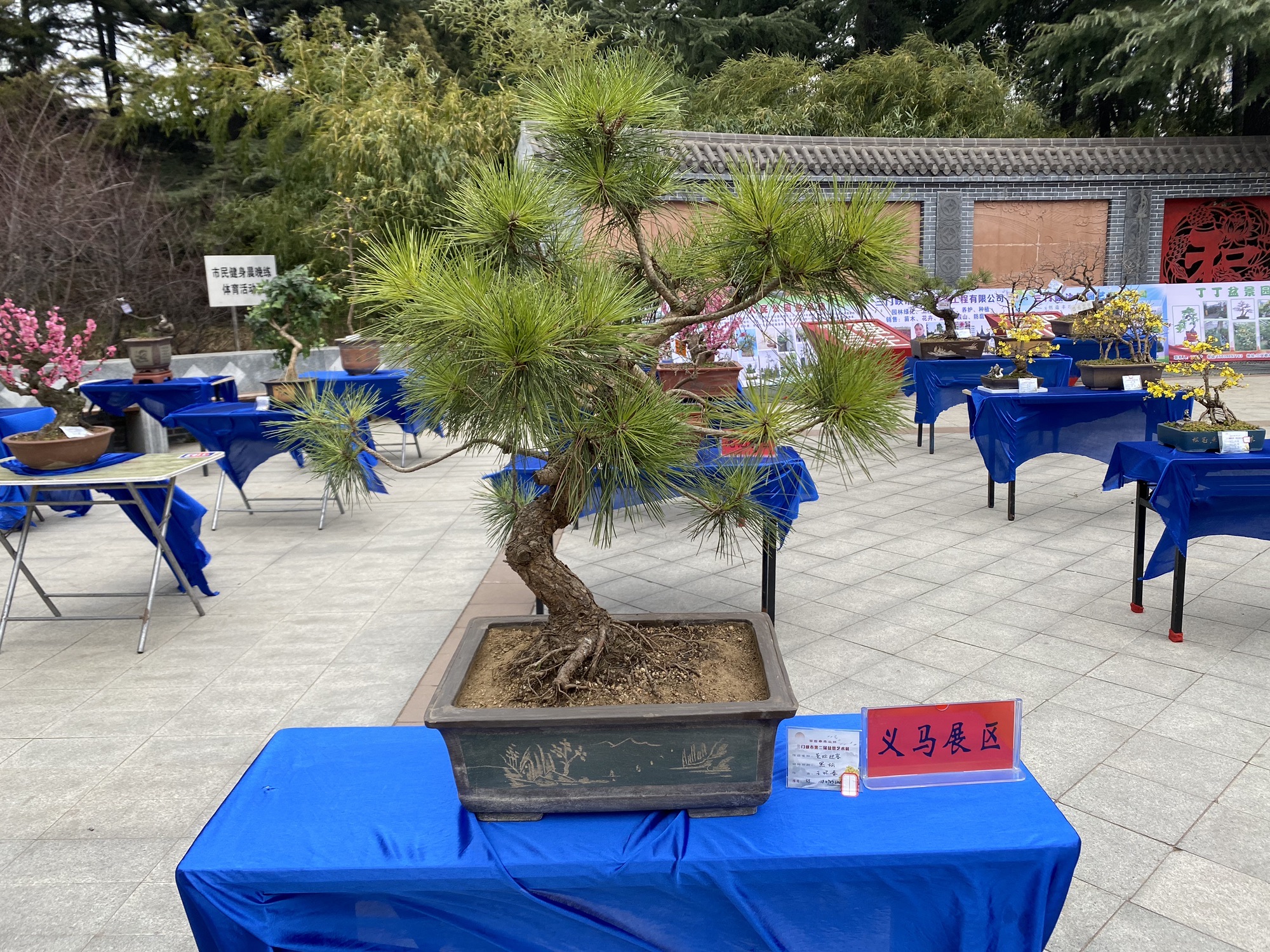 人民公园