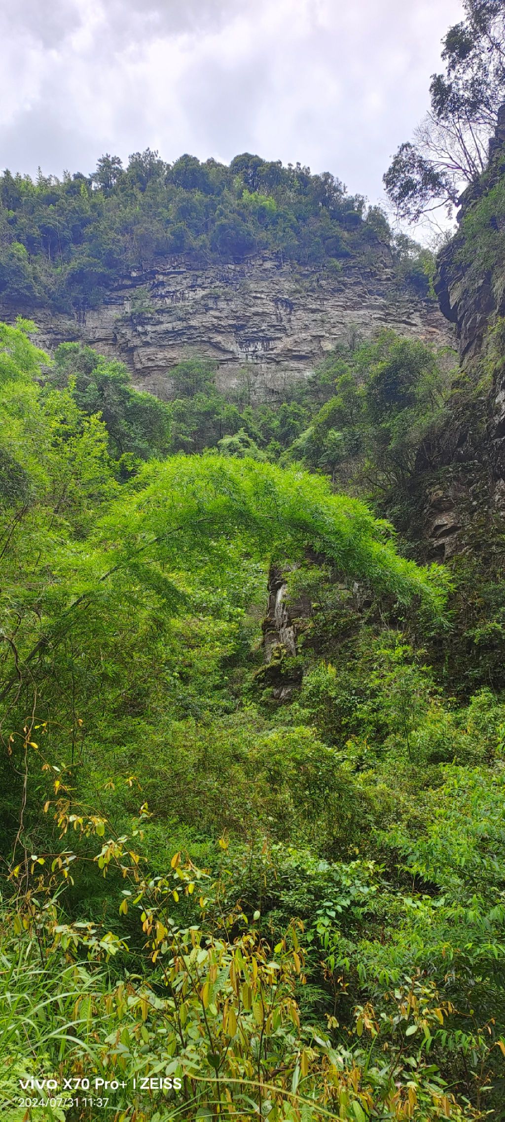 碧波崖旅行图片 1