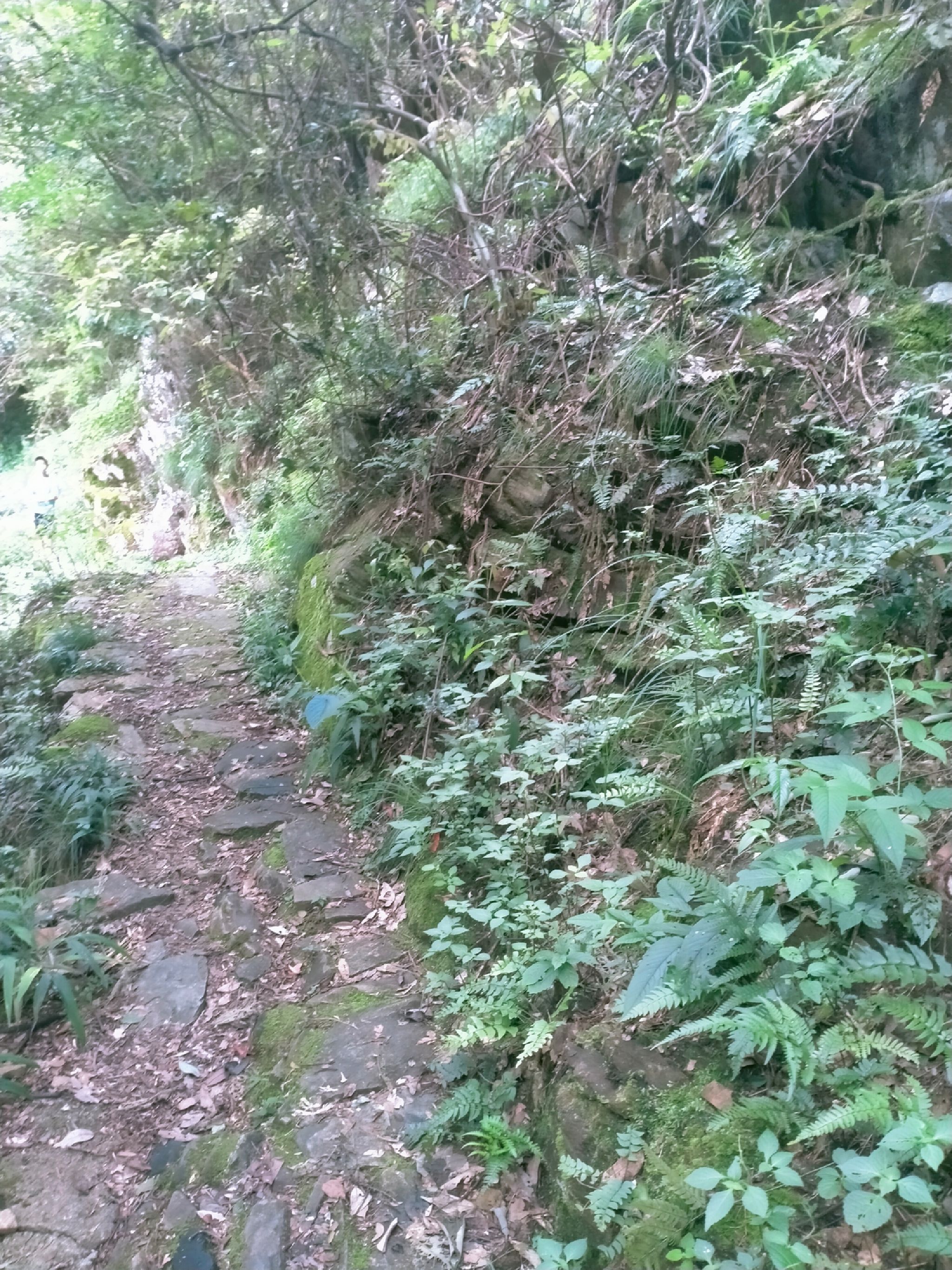 碧波崖旅行图片 3