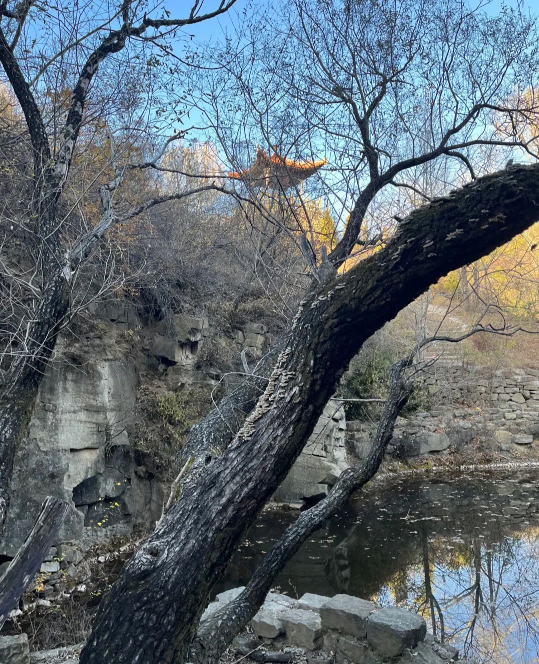 九院狼坡狮子崖生态景区旅行图片 2
