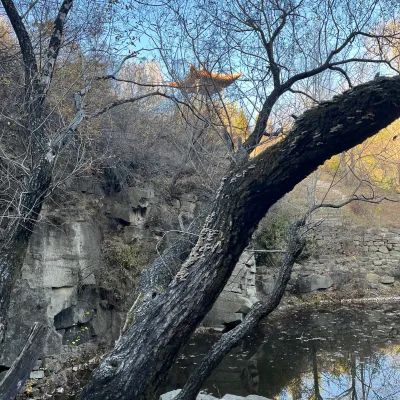 九院狼坡狮子崖生态景区旅行图片 3