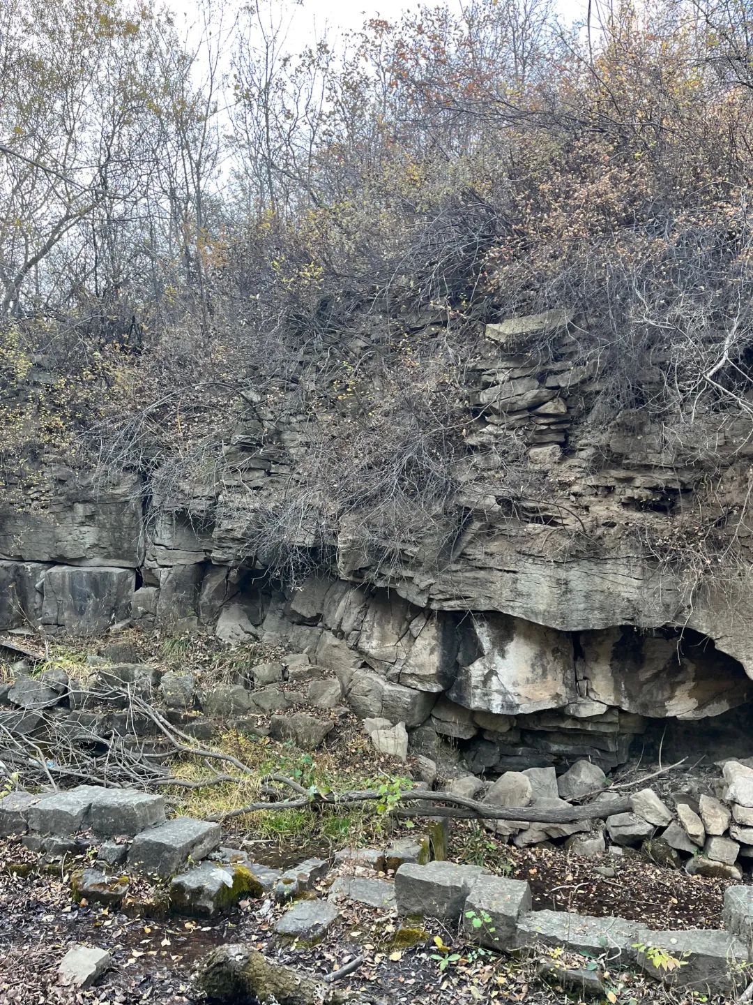 九院狼坡狮子崖生态景区旅行图片 2