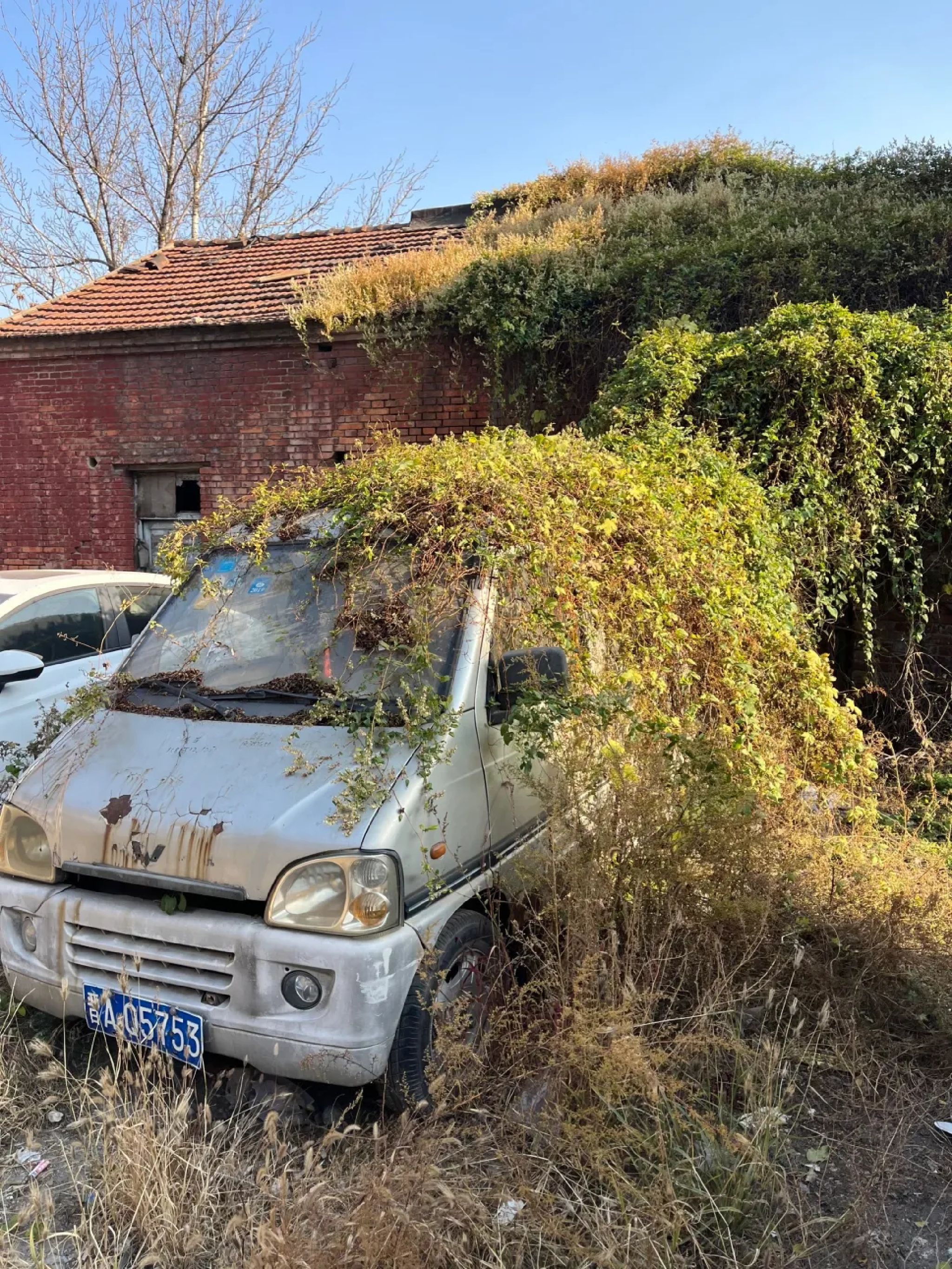 九院狼坡狮子崖生态景区旅行图片 1