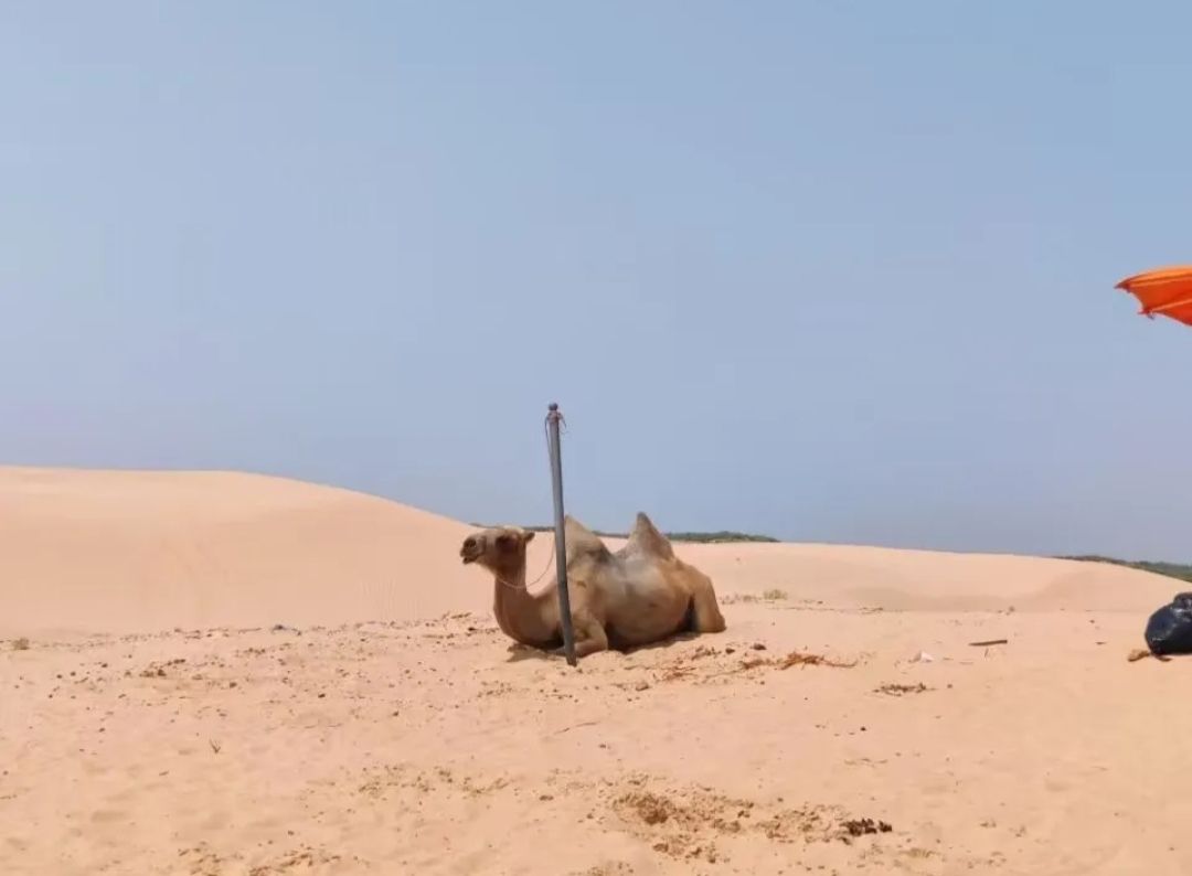 宝古图沙漠旅游区旅行图片 3