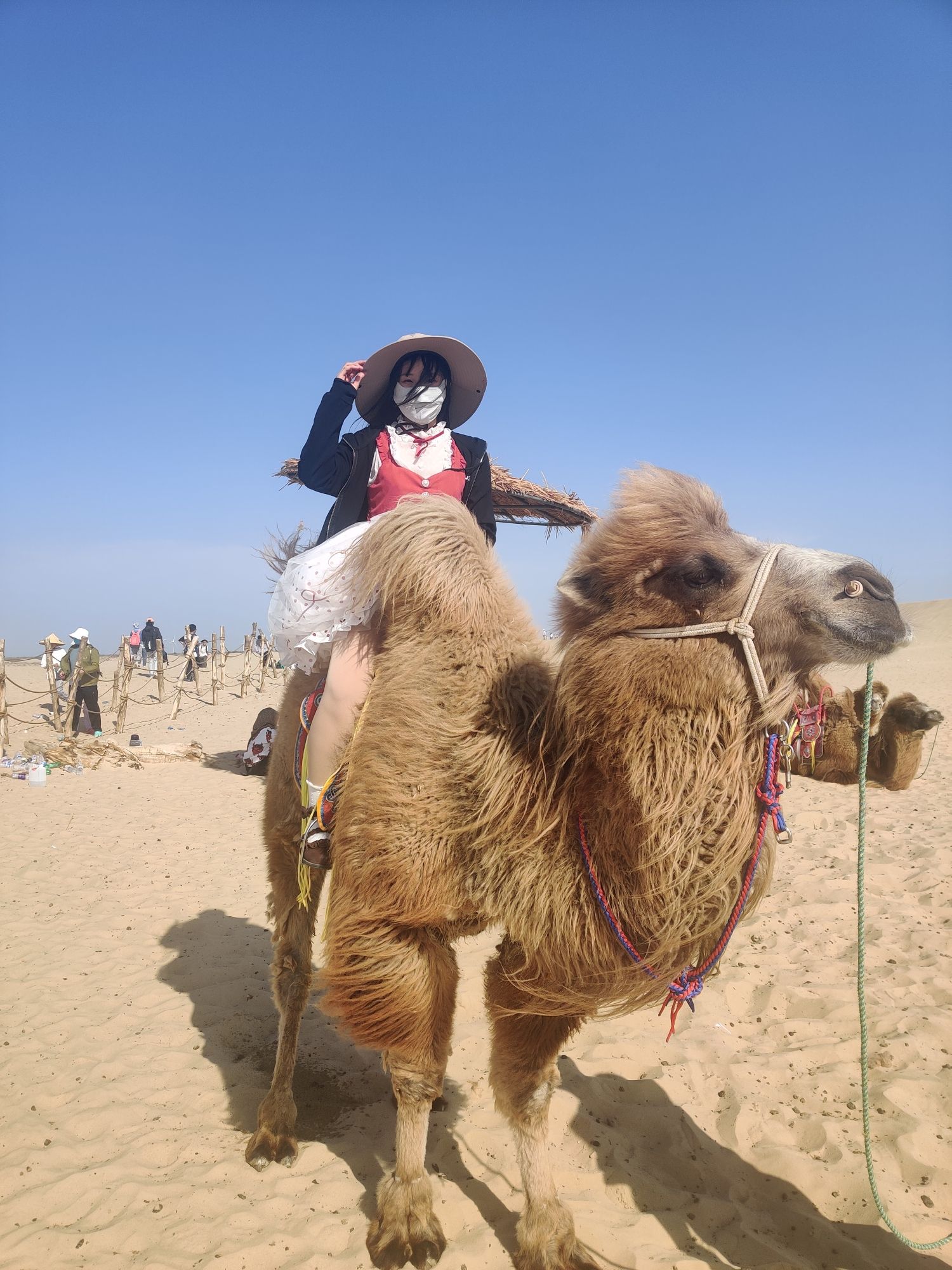 宝古图沙漠旅游区旅行图片 2