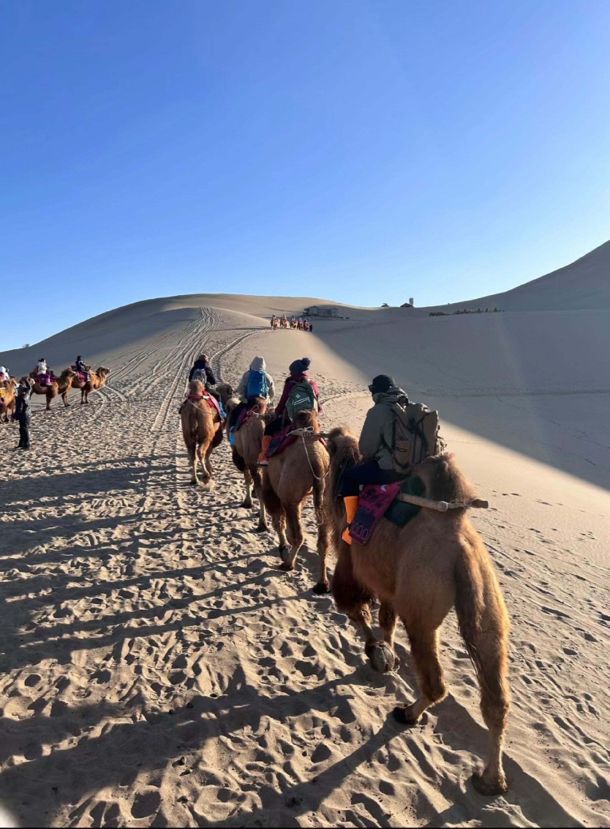 宝古图沙漠旅游区旅行图片 1