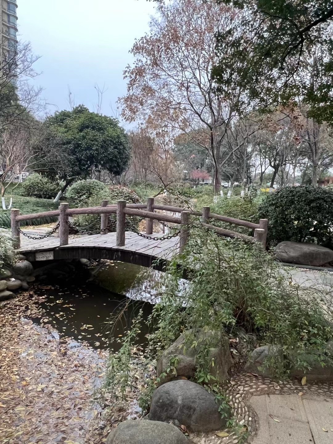 回溪公园旅行图片 3