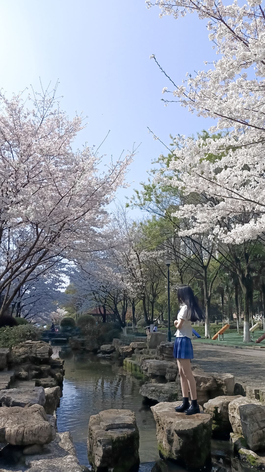回溪公园旅行图片 1