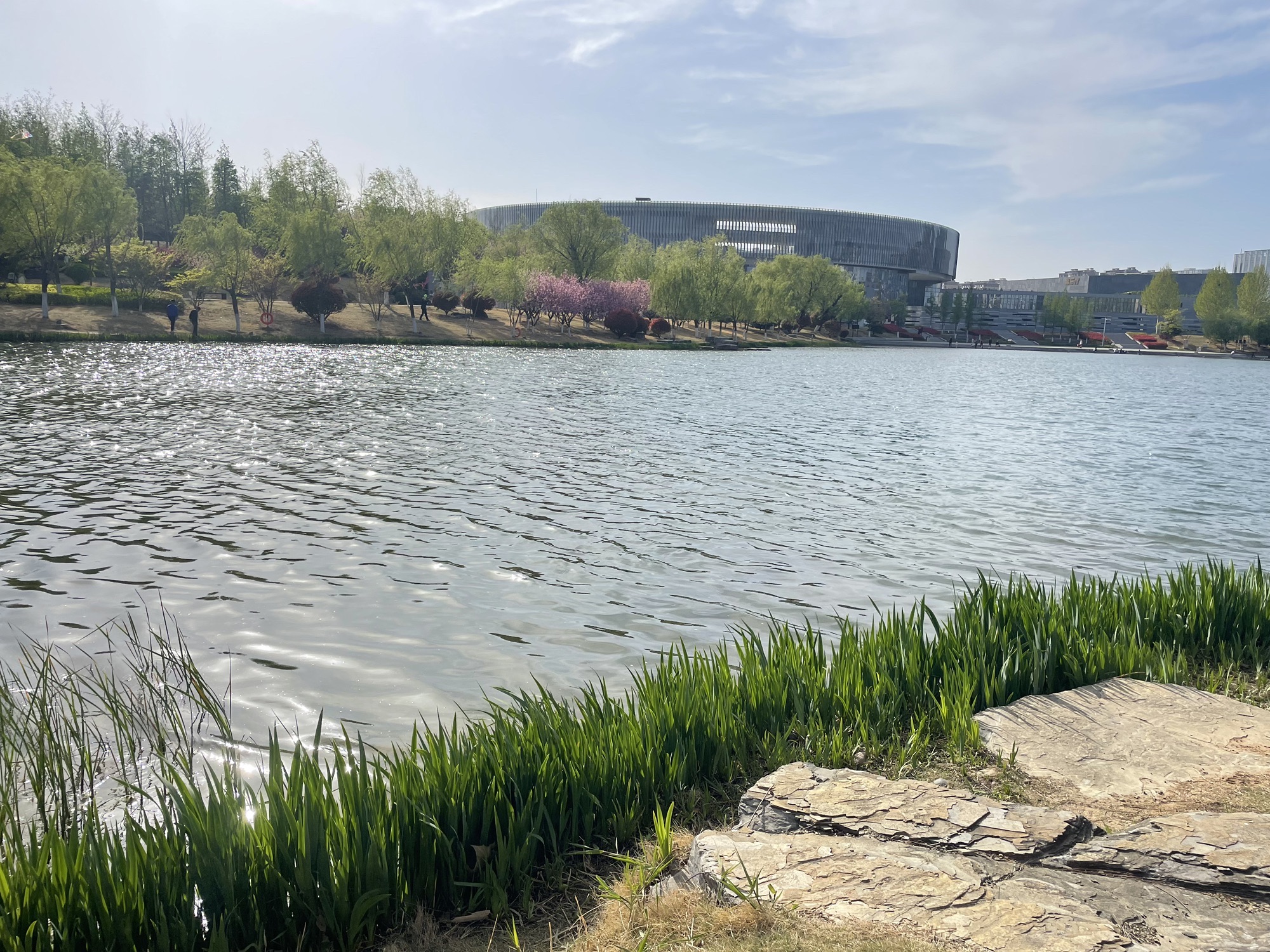 龙泉湖公园旅行图片 3