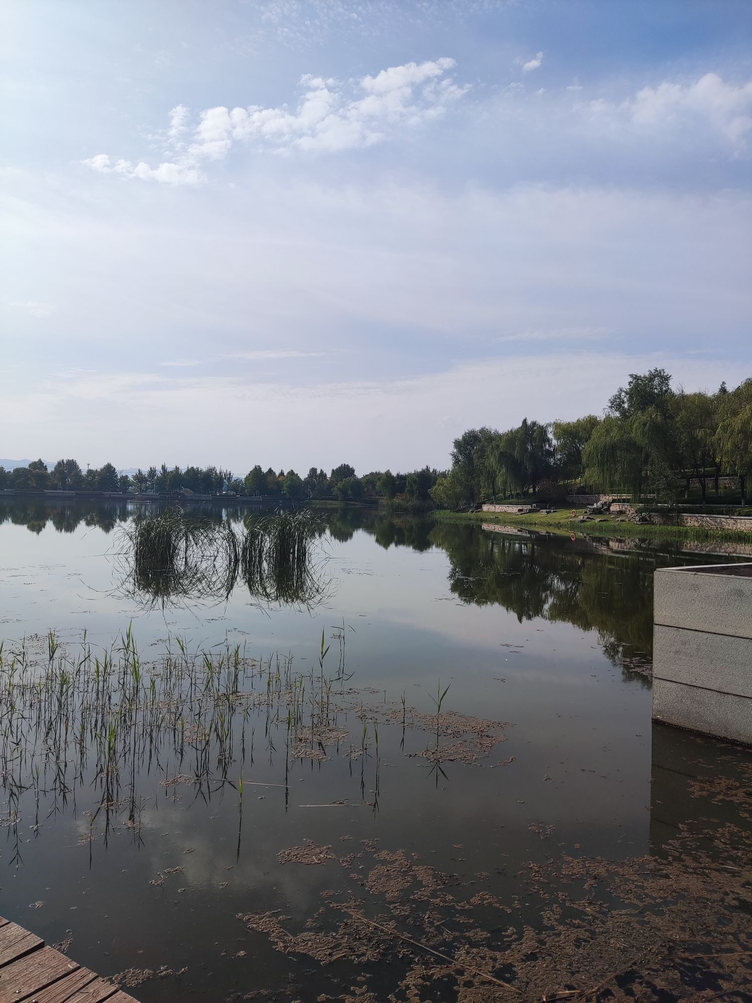 龙泉湖公园旅行图片 2