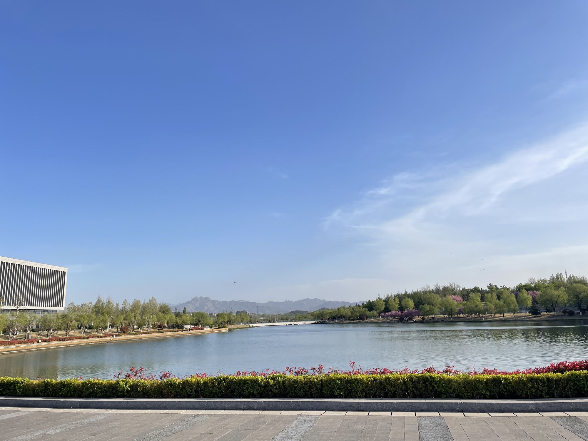 龙泉湖公园旅行图片 2