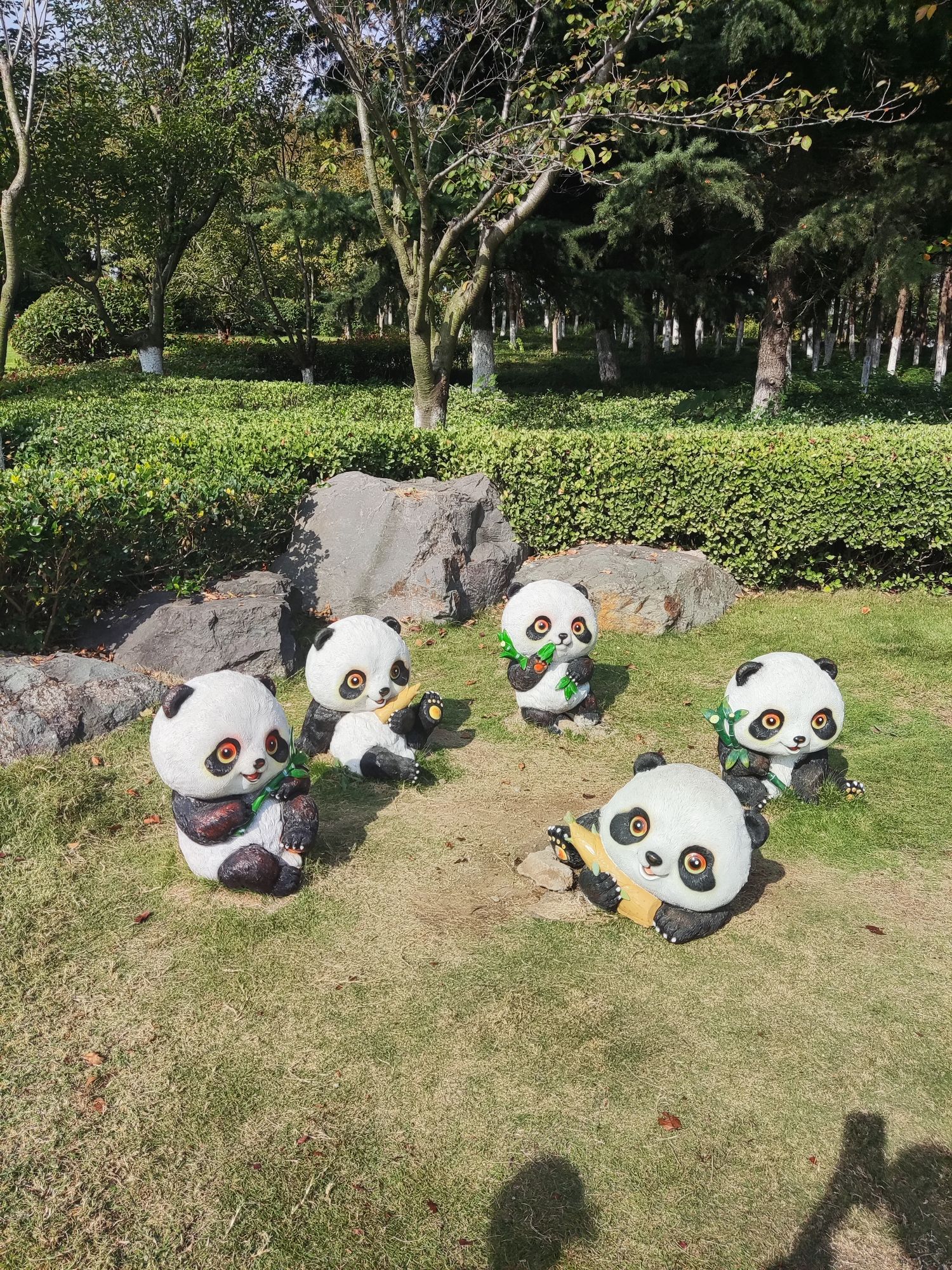 龙泉湖公园旅行图片 3