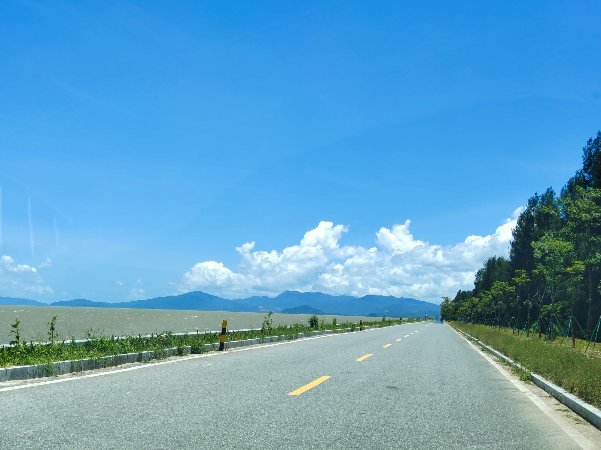 新会银湖湾湿地公园旅行图片 2