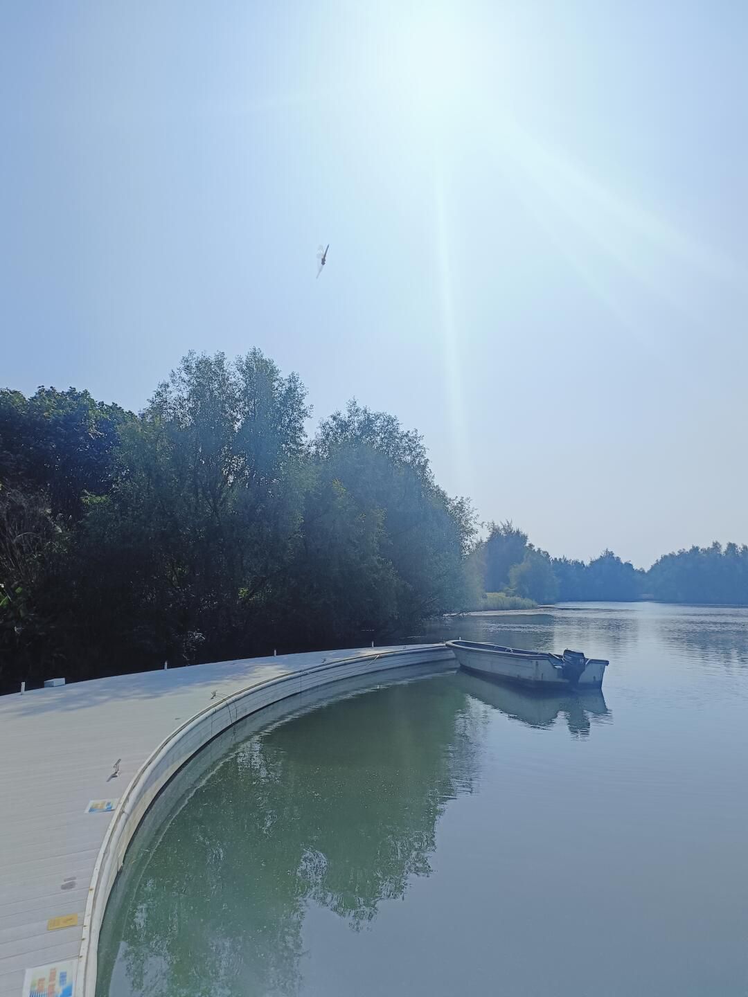 新会银湖湾湿地公园旅行图片 1