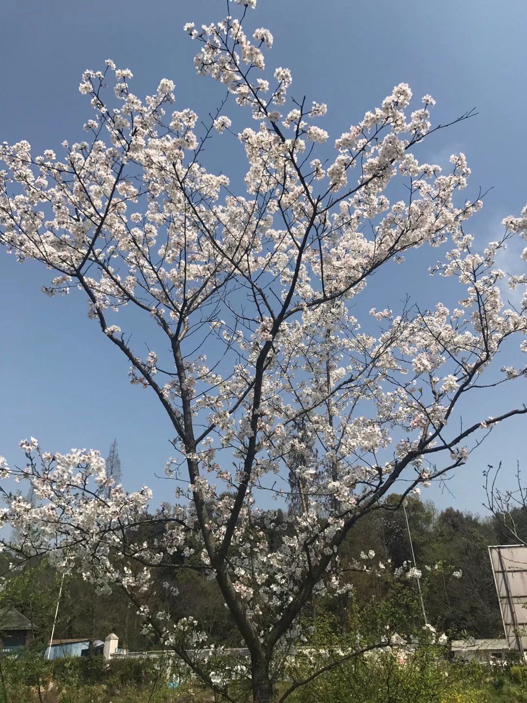 宛委山旅行图片 1