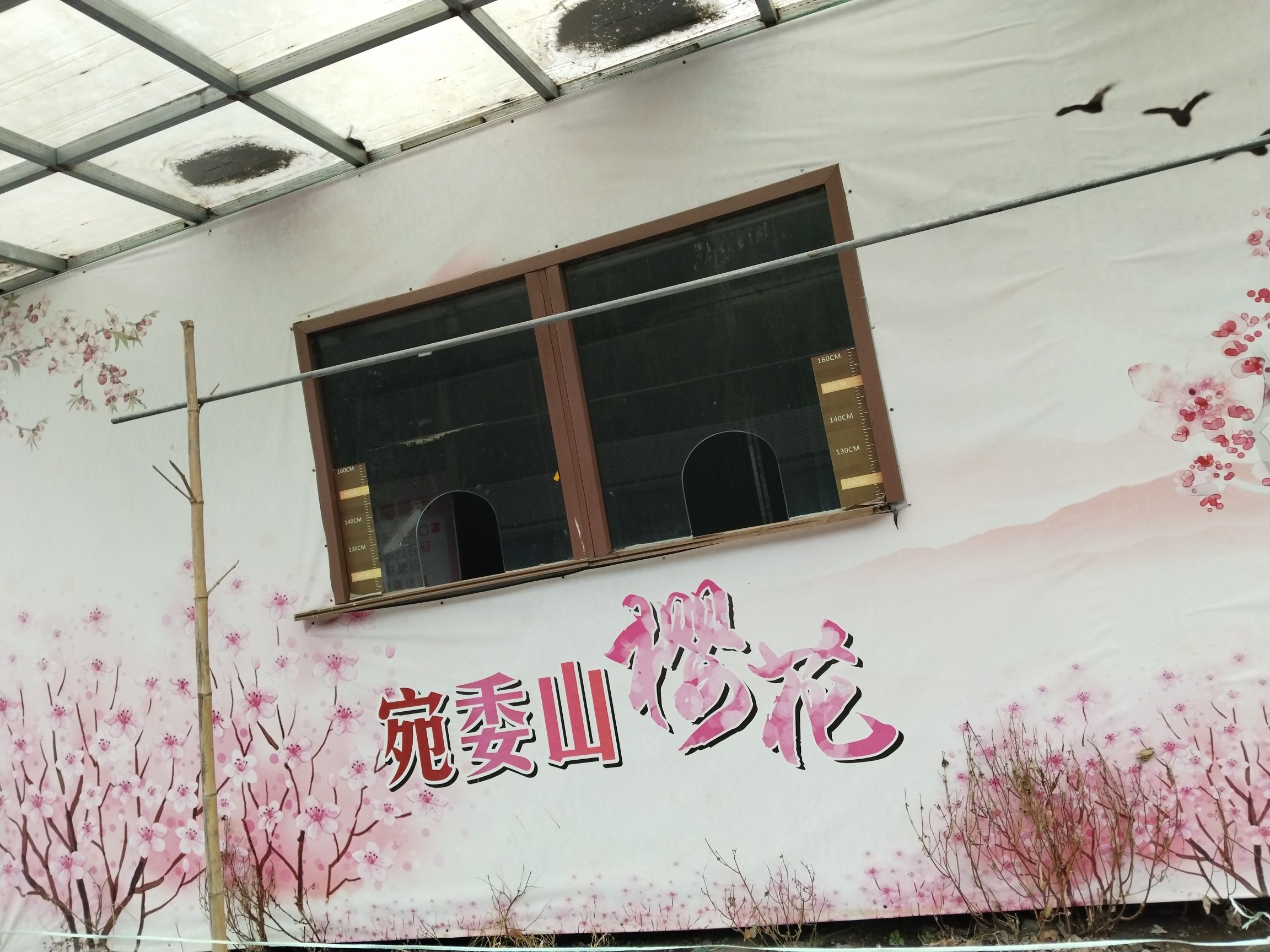 宛委山旅行图片 1