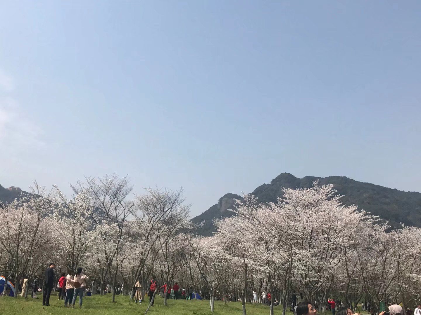 宛委山旅行图片 3