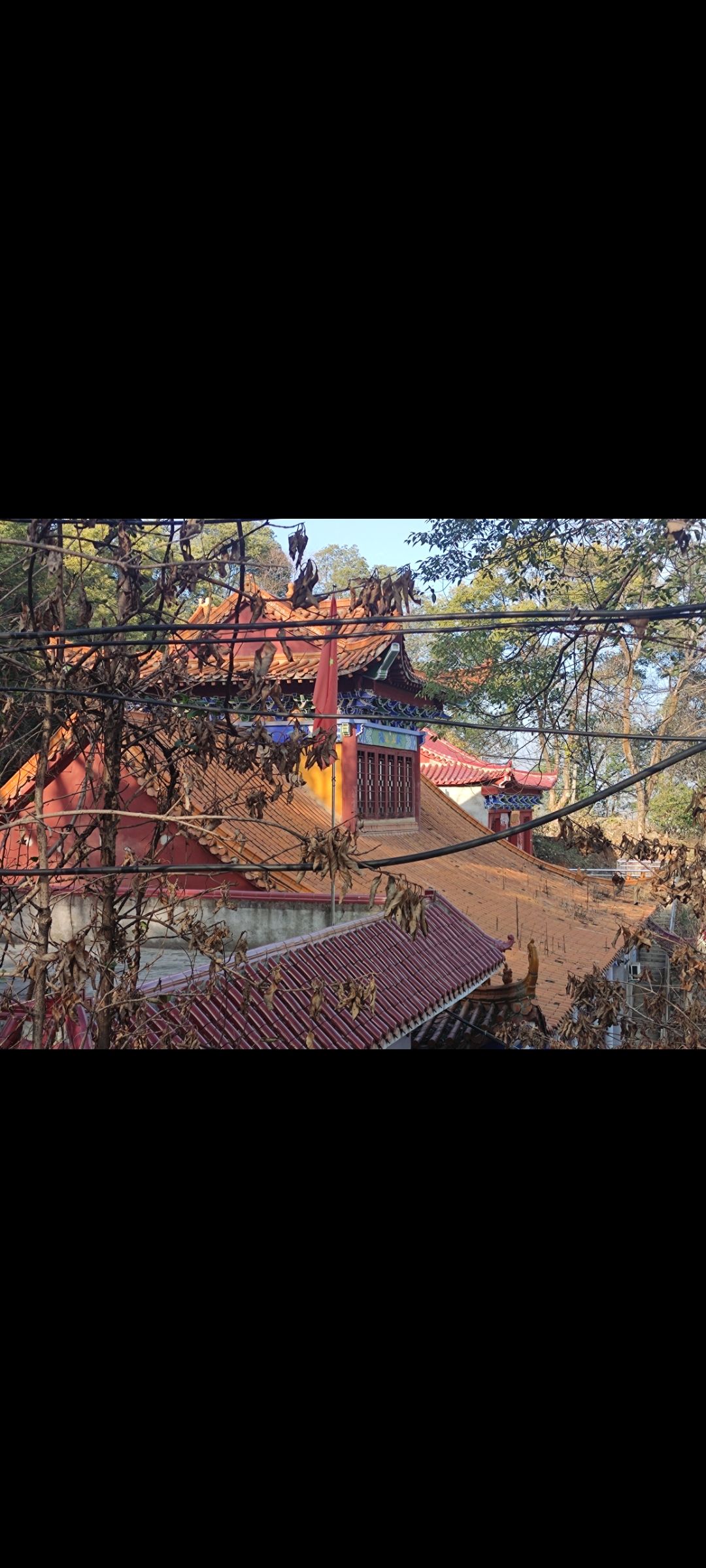 老崖山公园旅行图片 1