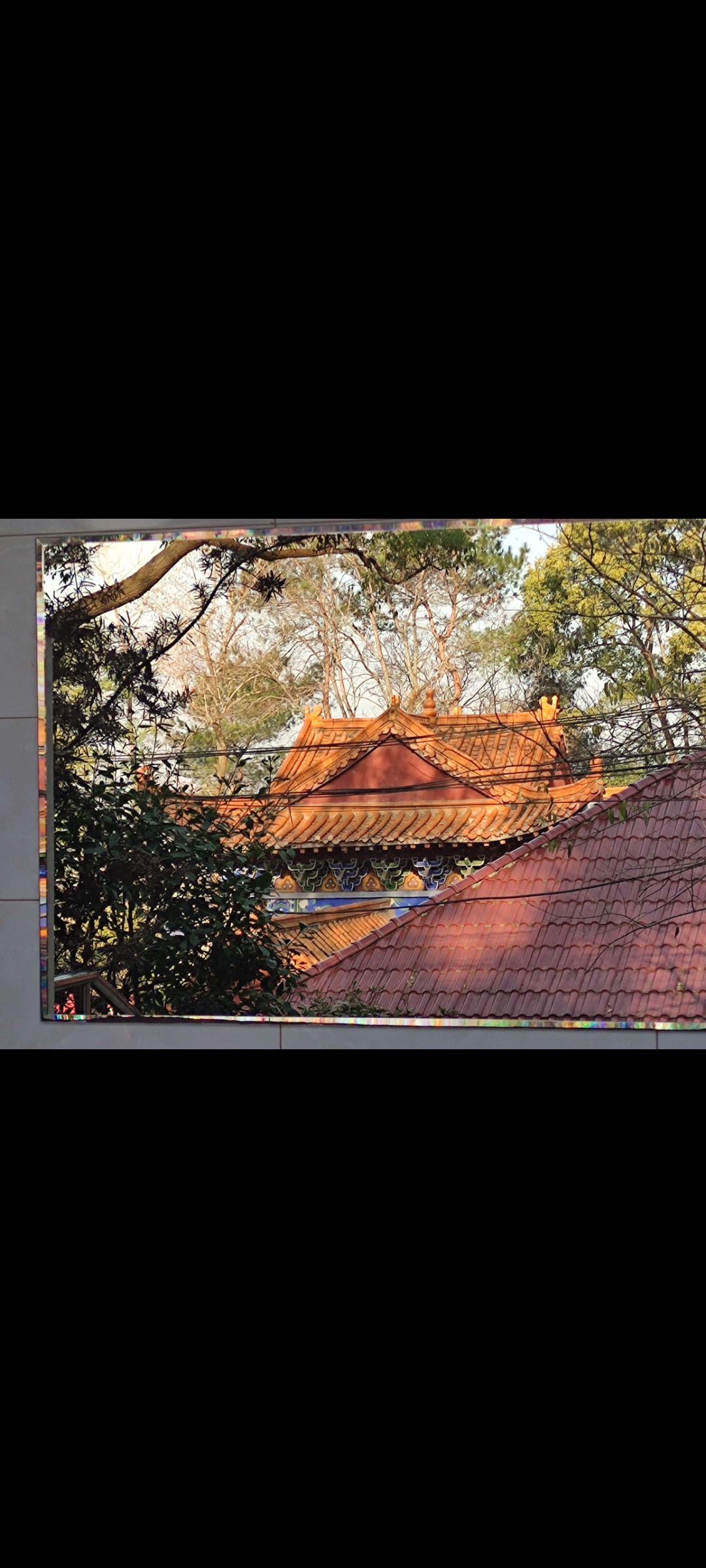 老崖山公园旅行图片 3