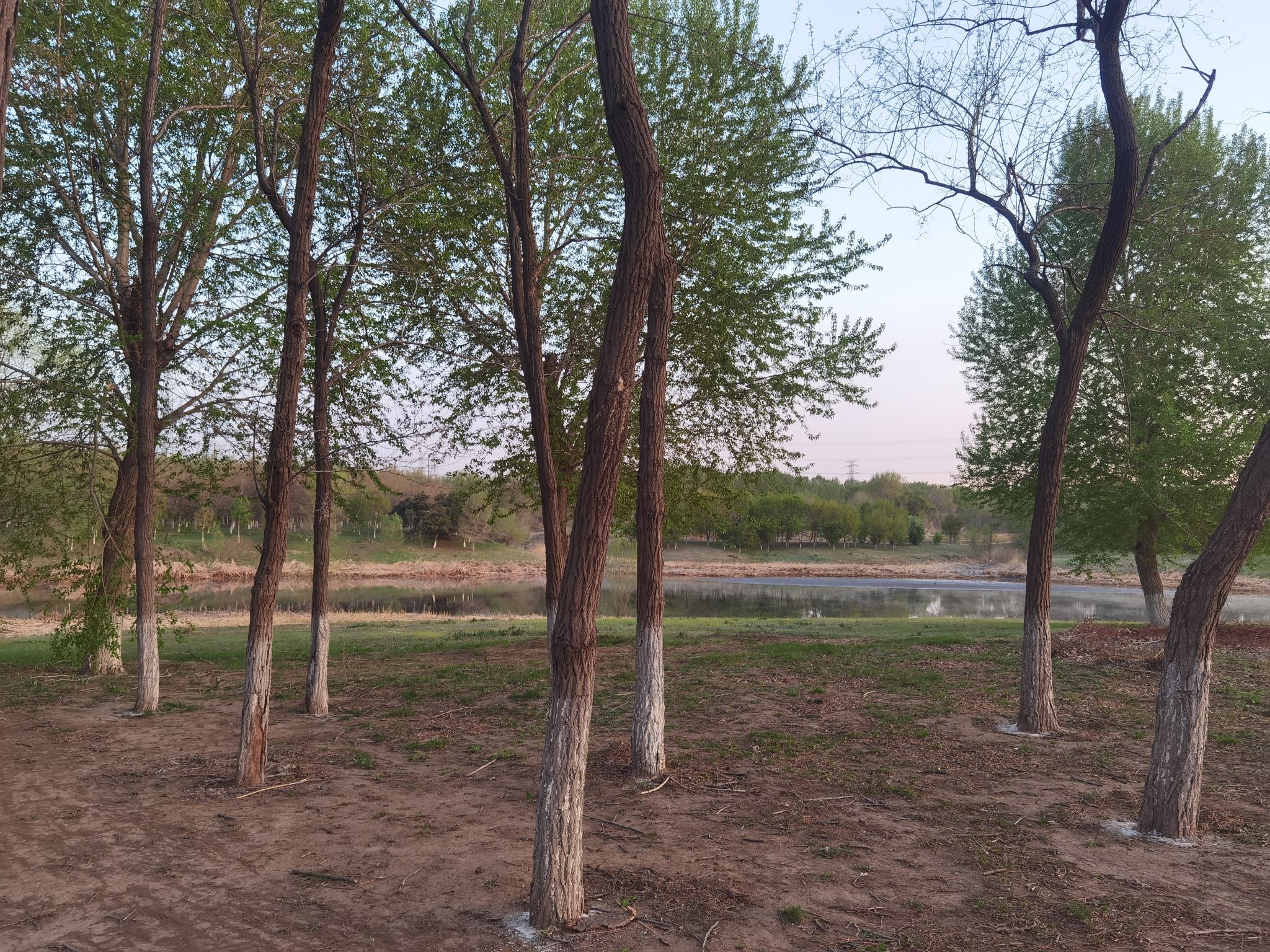 蒲河冬雪湖公园旅行图片 1