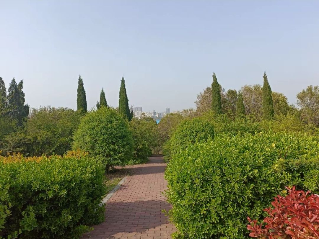 翠屏山森林公园旅行图片 1