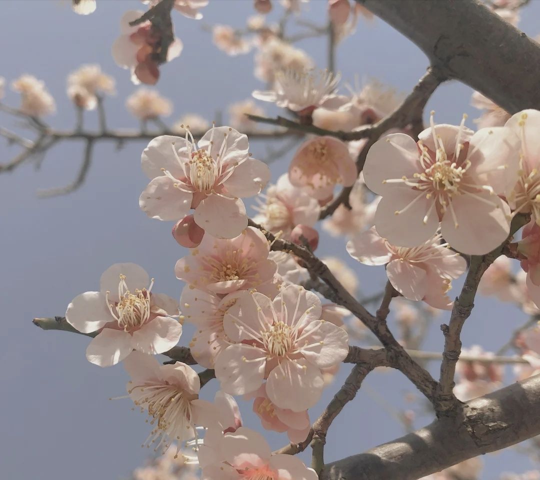蜀冈生态体育公园旅行图片 2