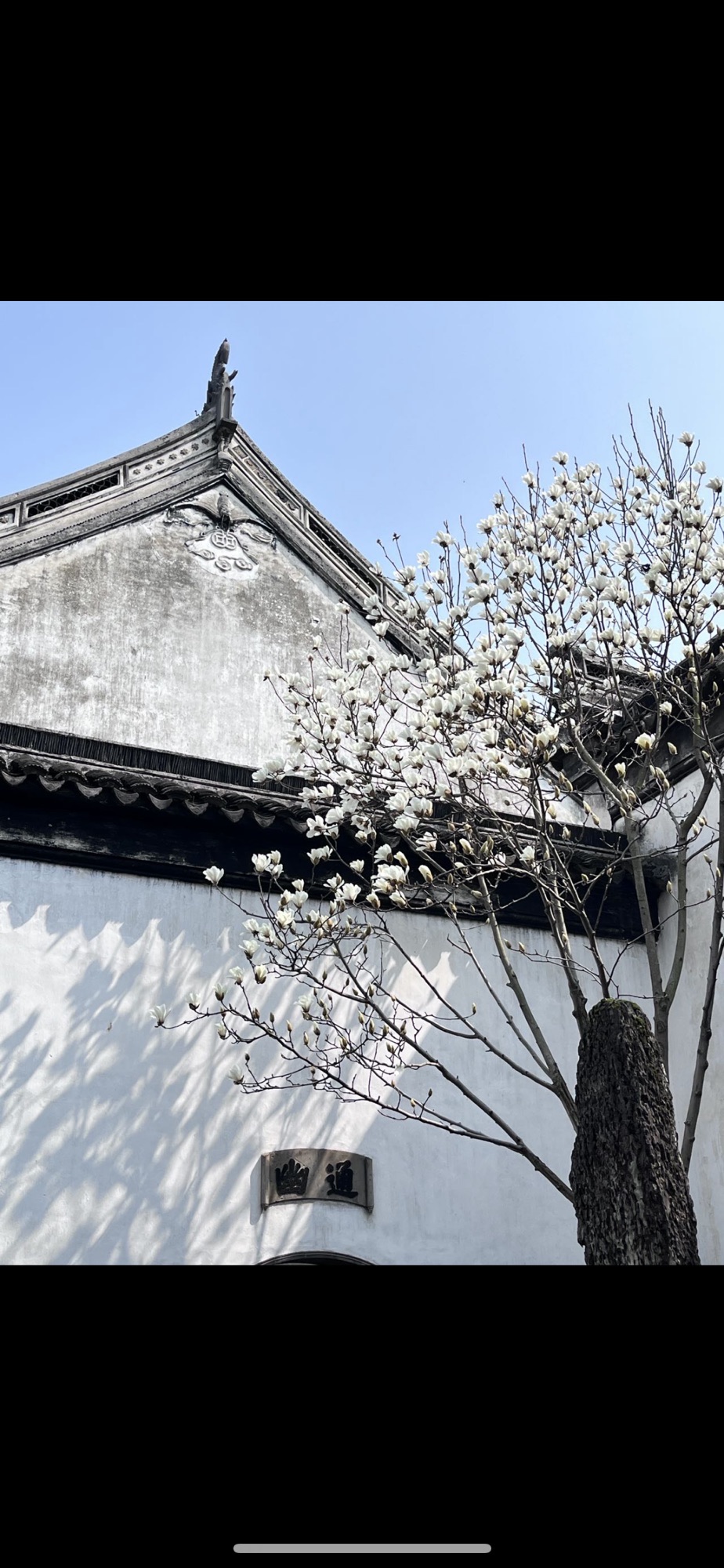 蜀冈生态体育公园旅行图片 2