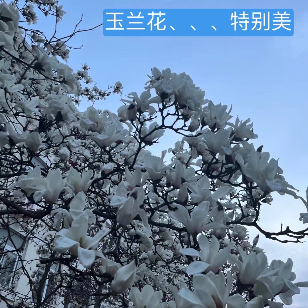 蜀冈生态体育公园旅行图片 3