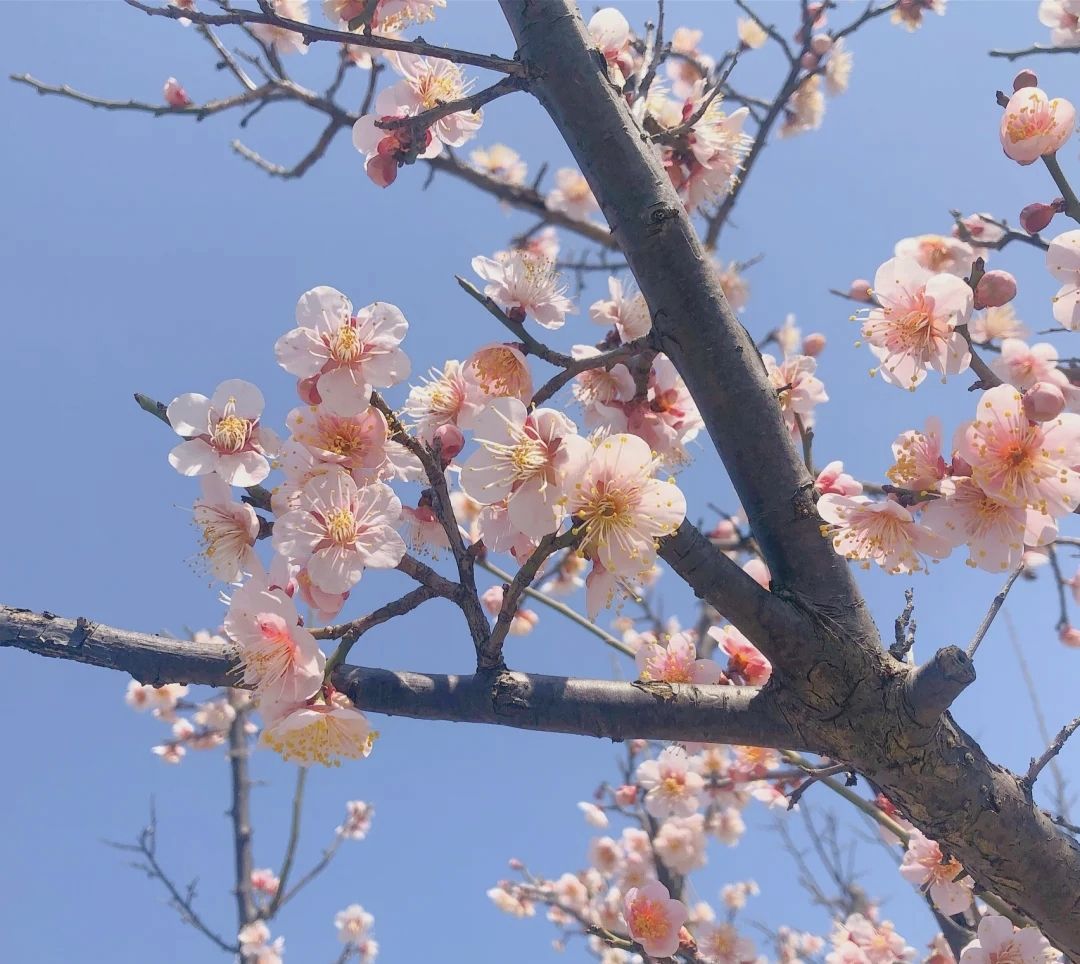 蜀冈生态体育公园旅行图片 1