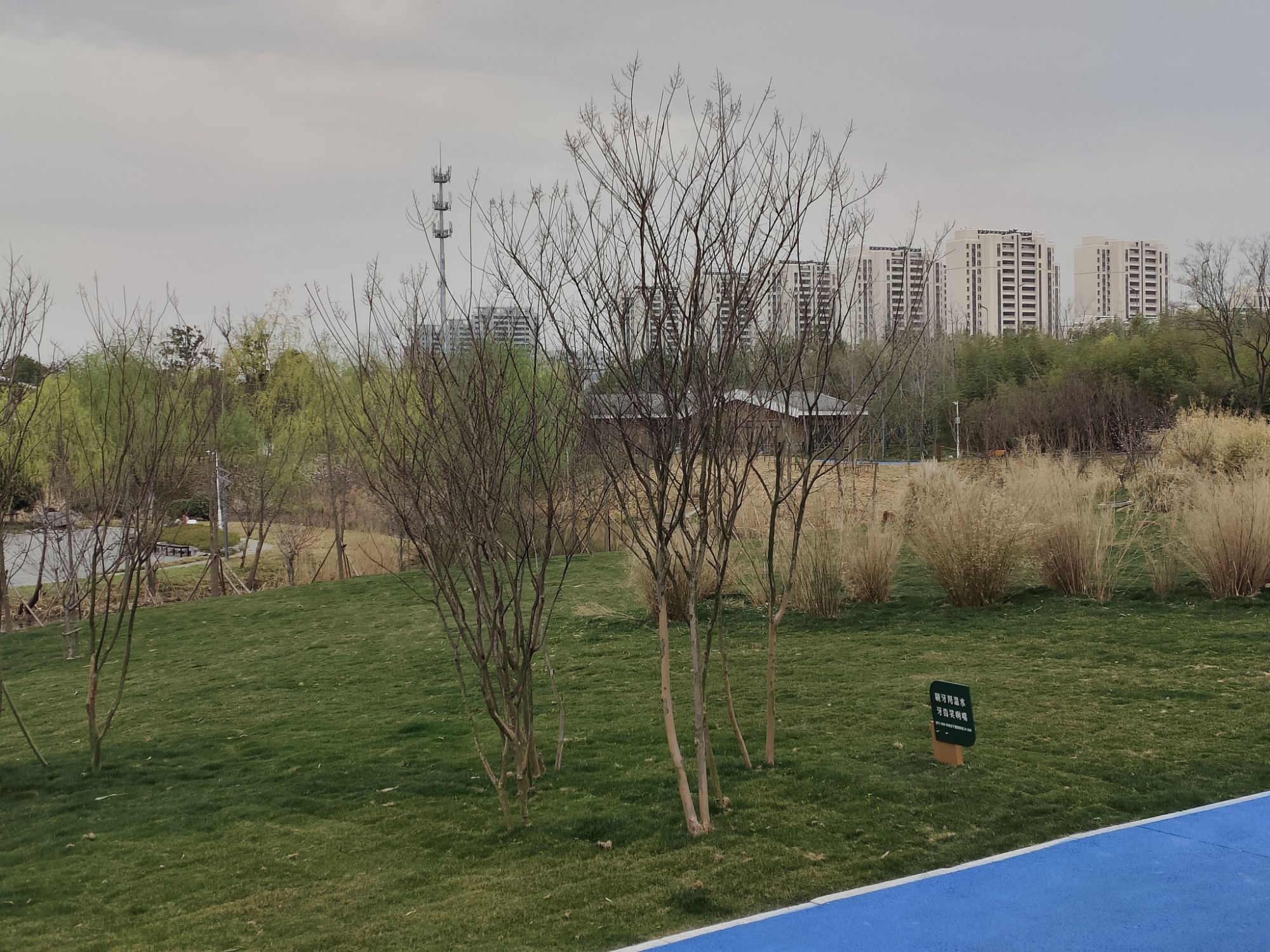 蜀冈生态体育公园旅行图片 3