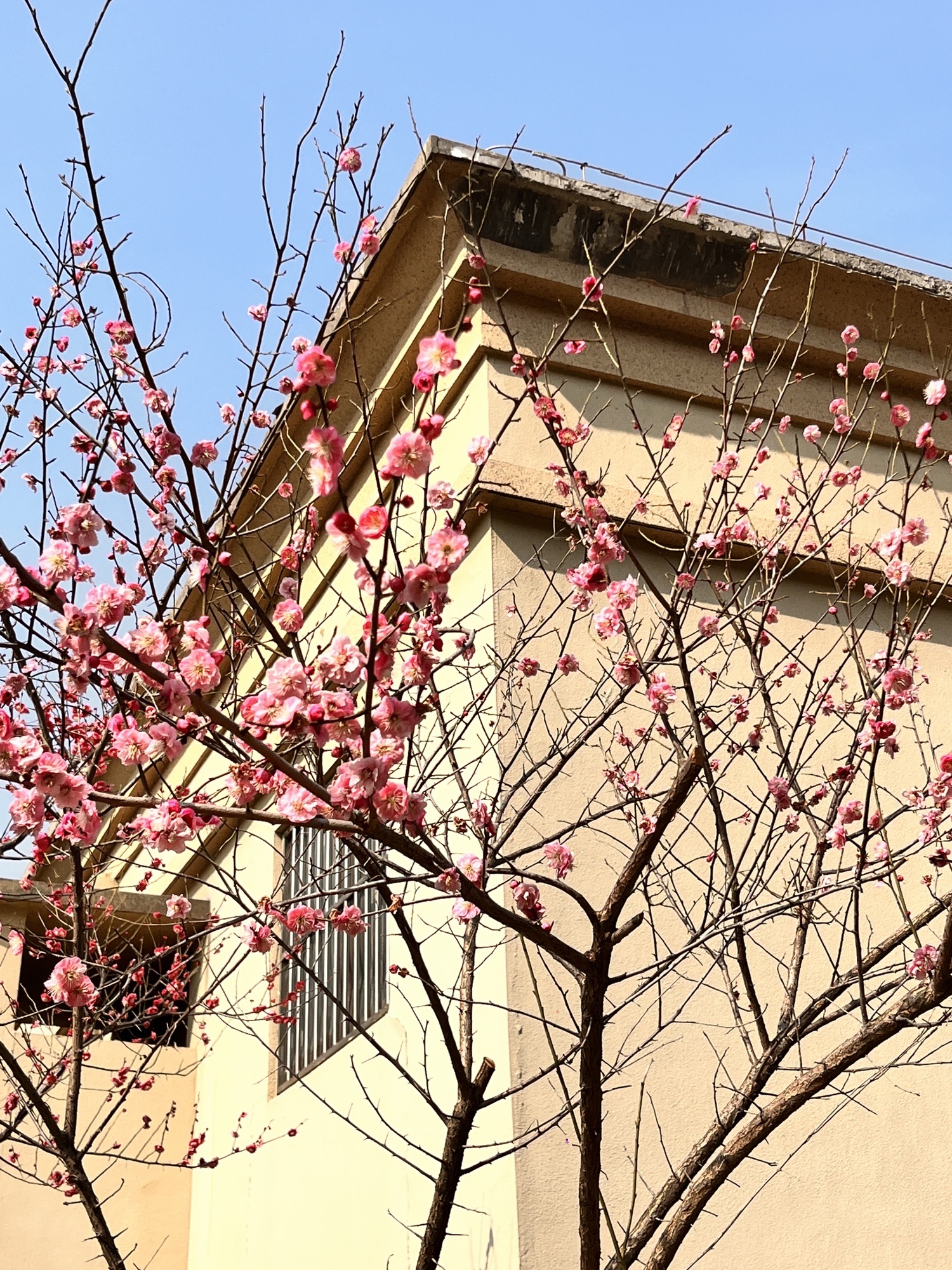 蜀冈生态体育公园旅行图片 1