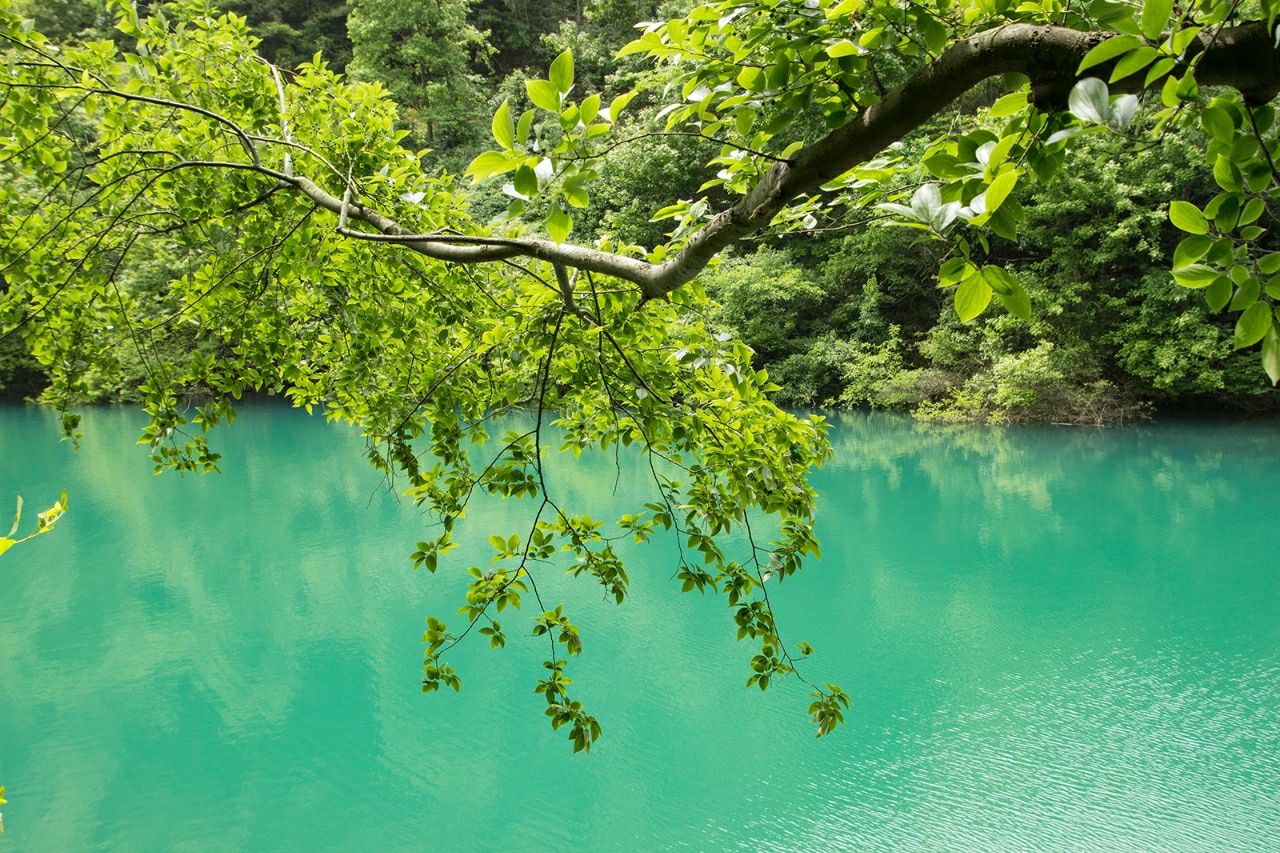 安徽省特色景观旅游名村旅行图片 1
