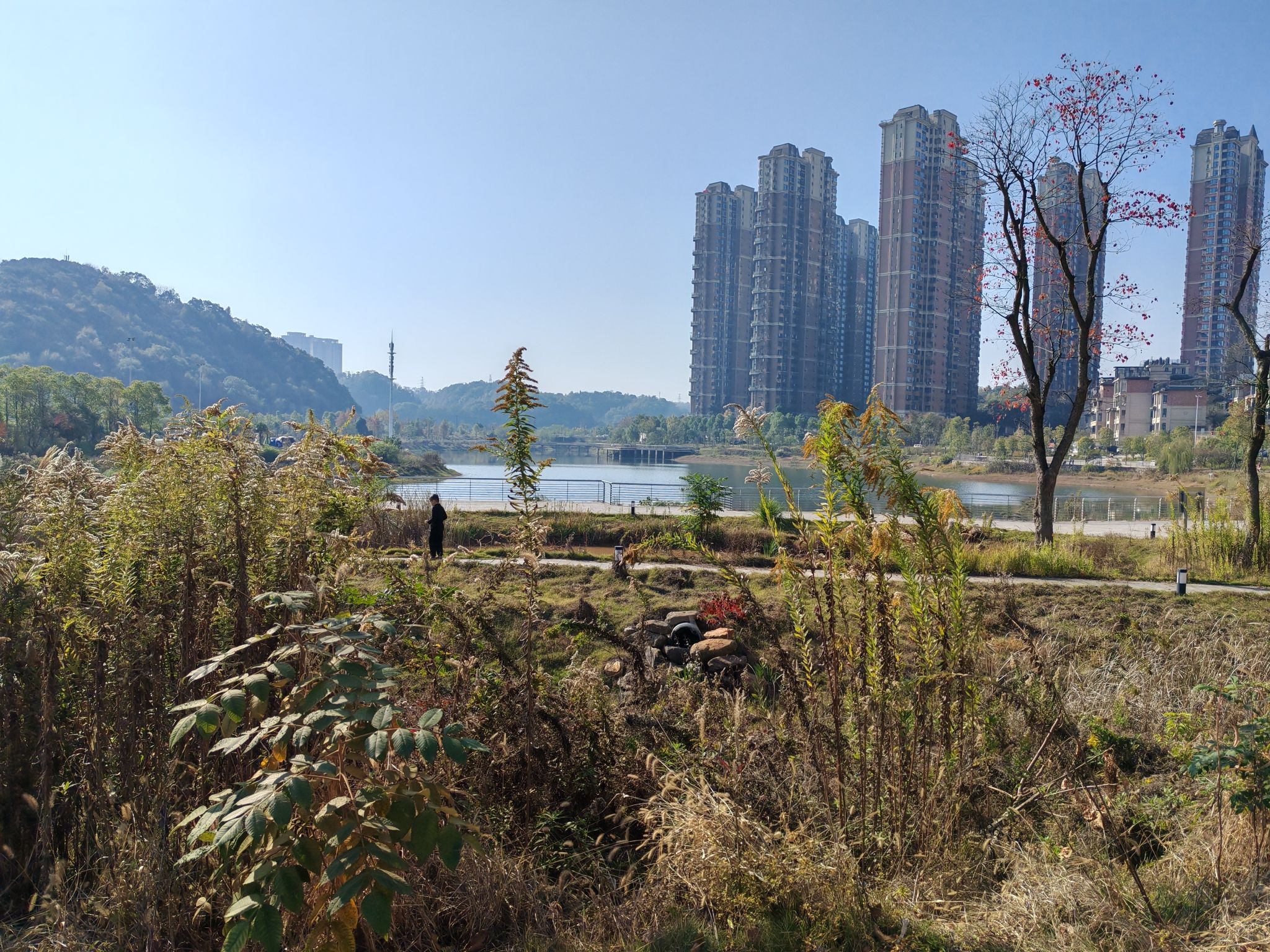 天池公园旅行图片 3