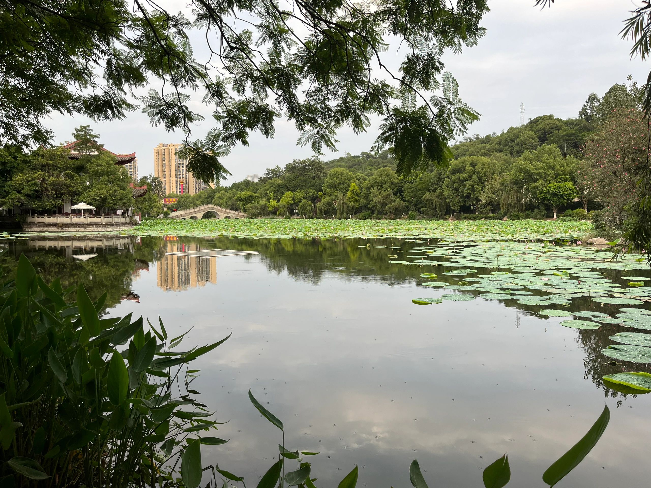 天池公园旅行图片 2