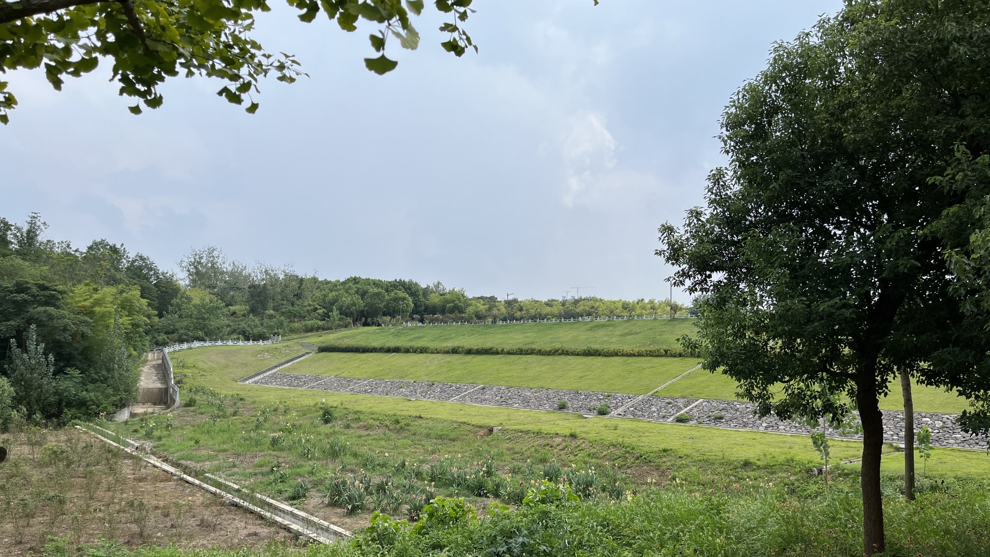 龙山森林公园旅行图片 2