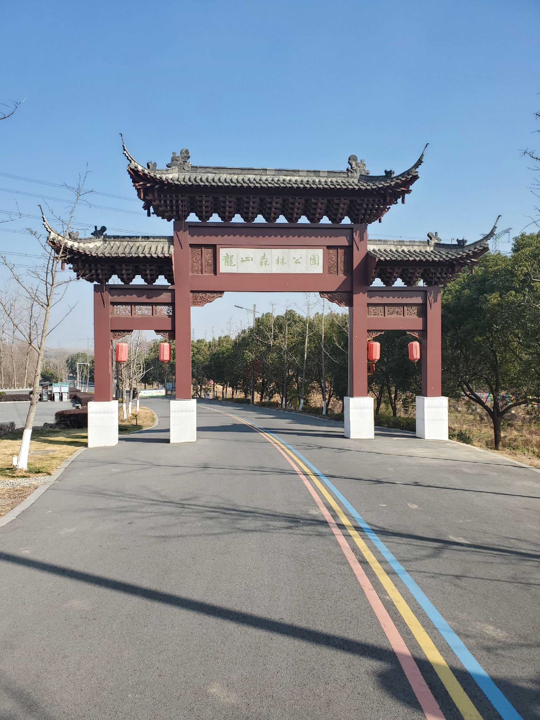 龙山森林公园旅行图片 1