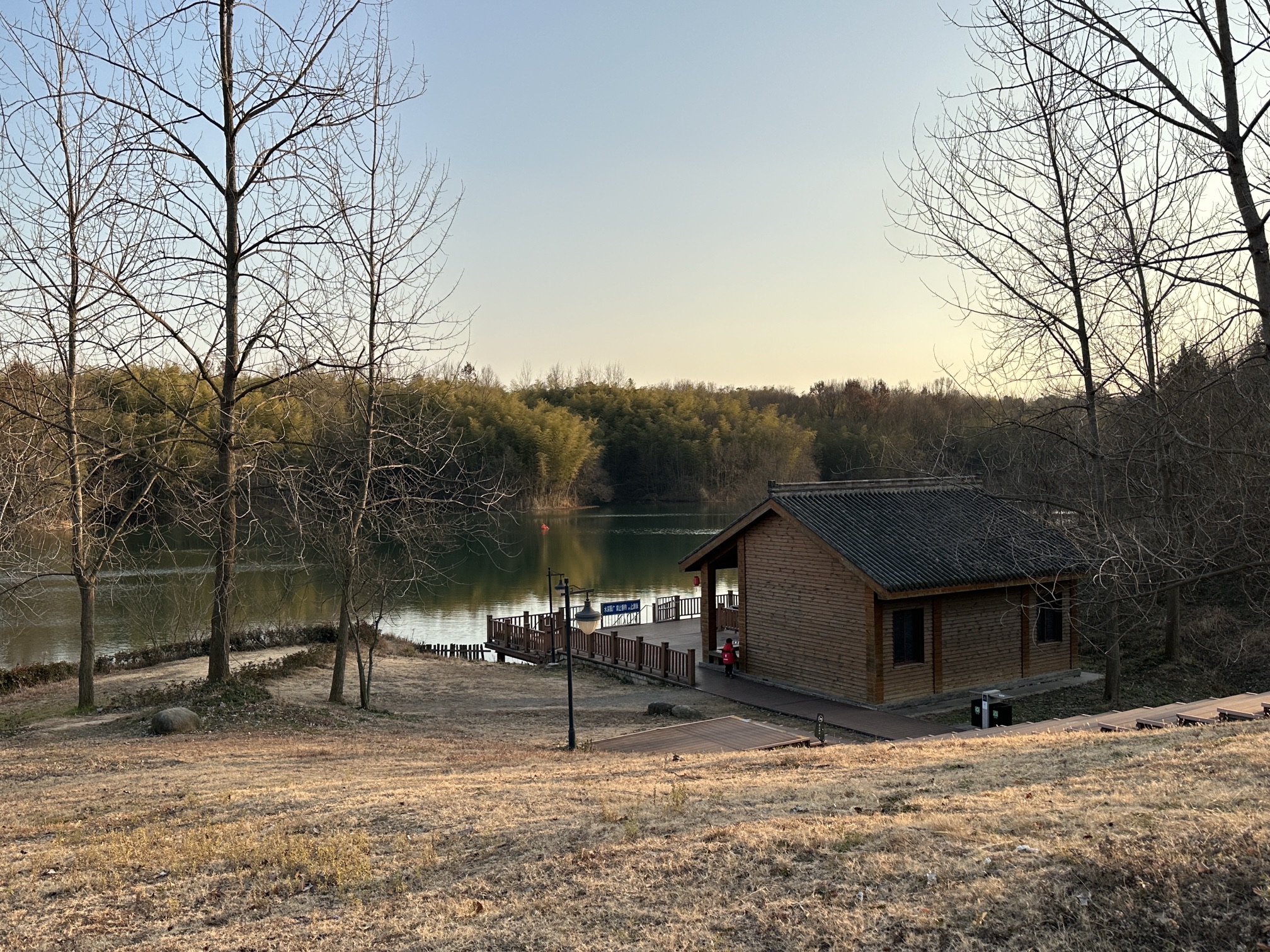龙山森林公园旅行图片 2
